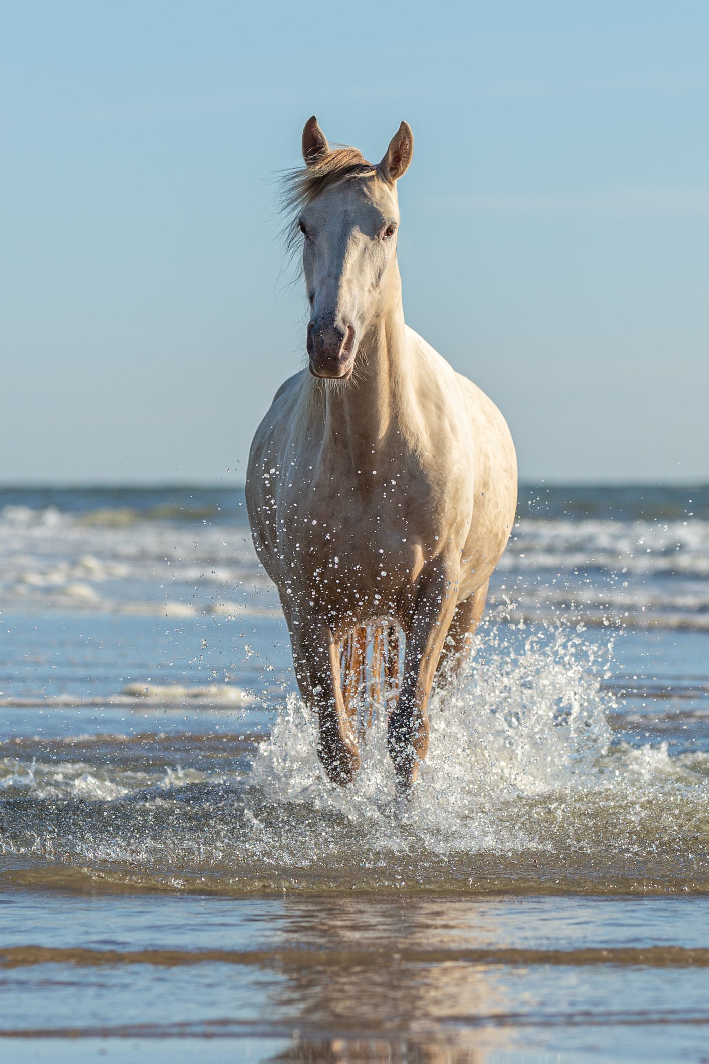 Wanneroo to investigate potential horse beach