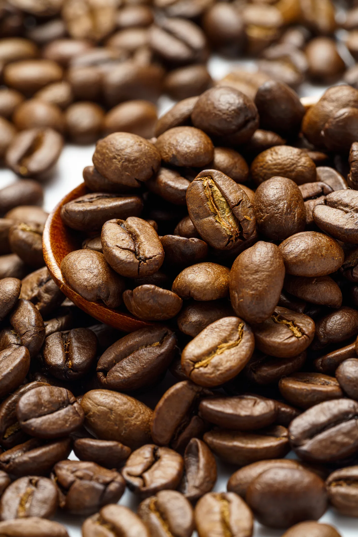 “มอนิ่งดริป” กินกาแฟชมทะเล