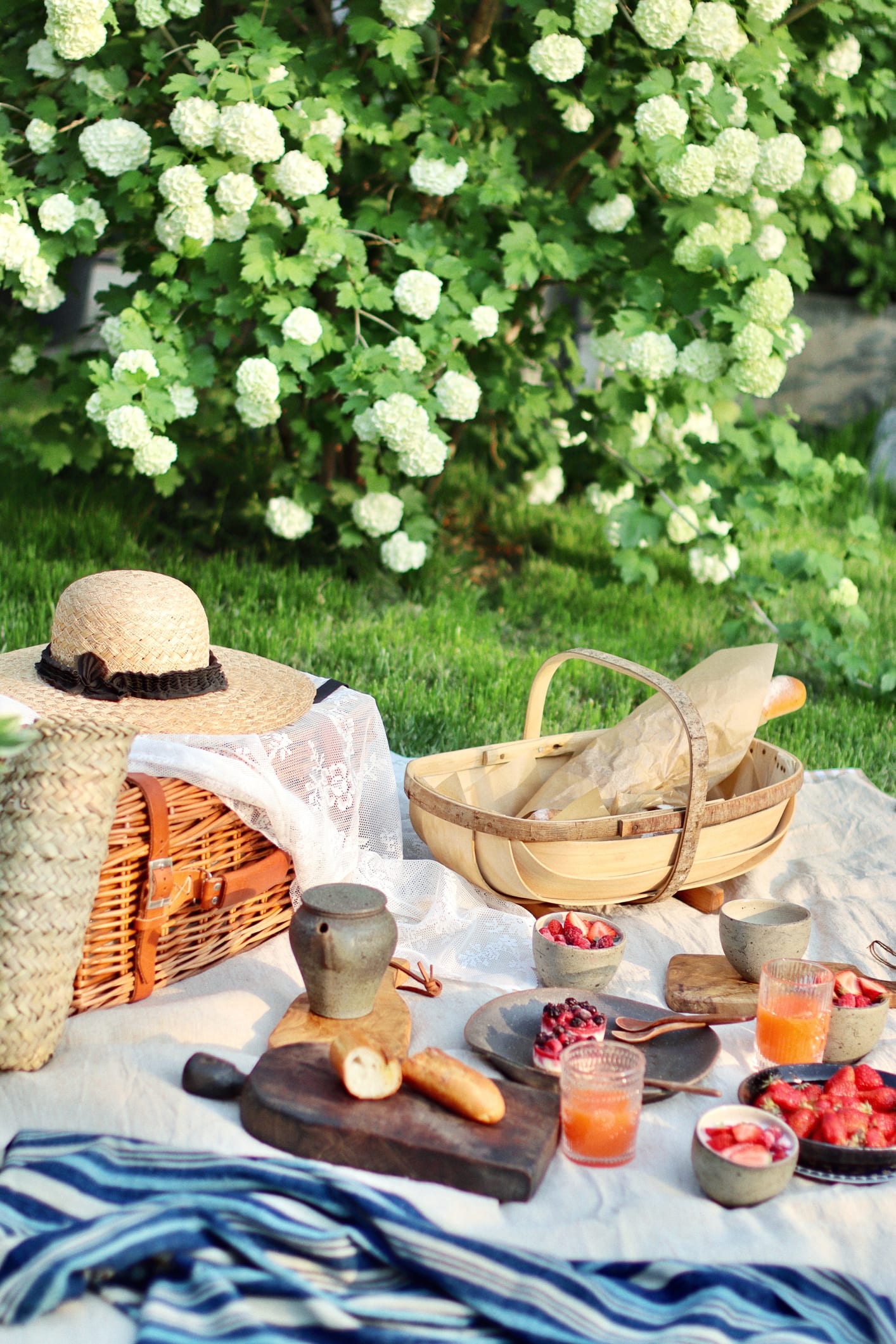 Picnic senza formiche: come evitare che invadano la tovaglia con metodi naturali