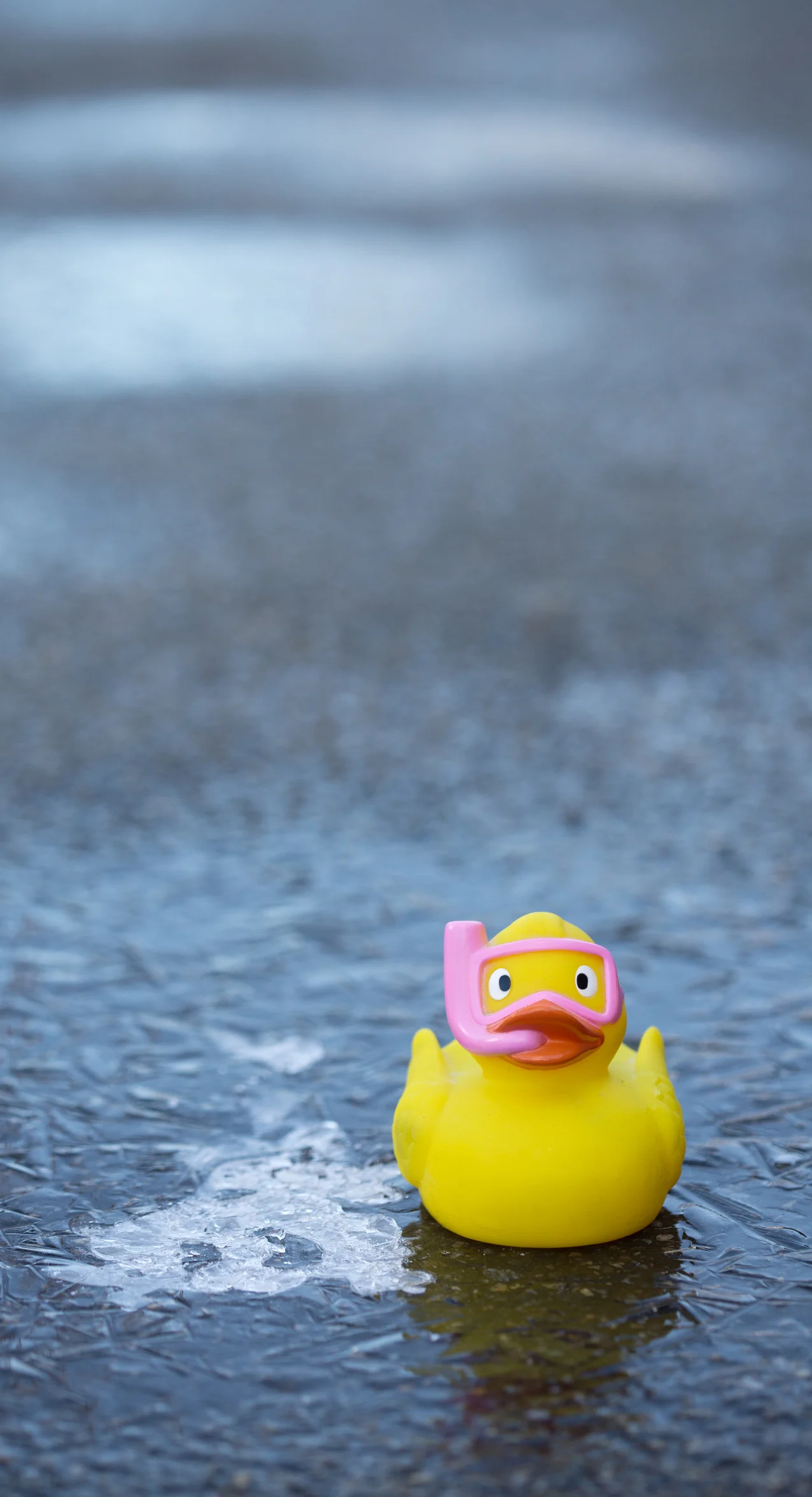 An diesen Orten hat Eisbaden eine lange Tradition