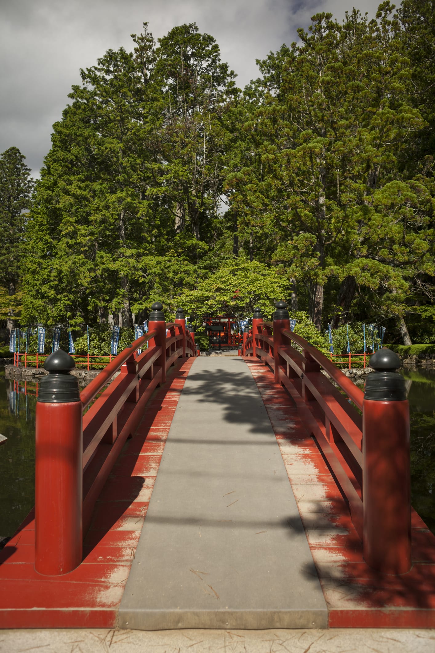 いにしえの旅人気分あじわえる新宮　ゆるり自転車たび