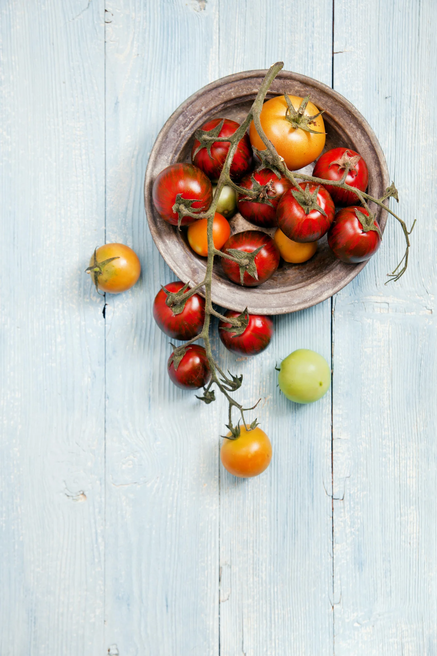 Simple garden trick will make your tomatoes grow bigger and faster