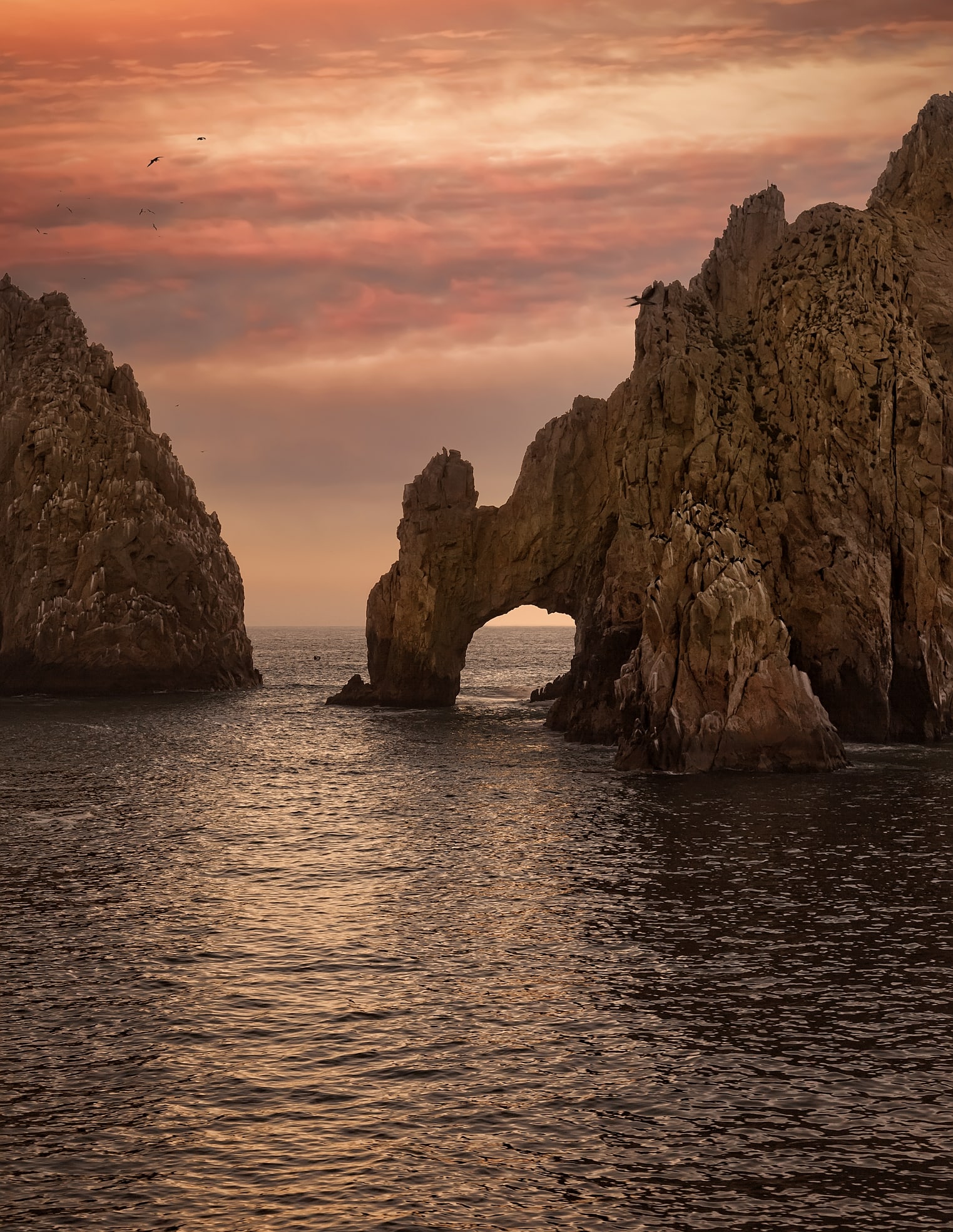 Los Cabos, el lugar perfecto para encontrar nuevos caminos