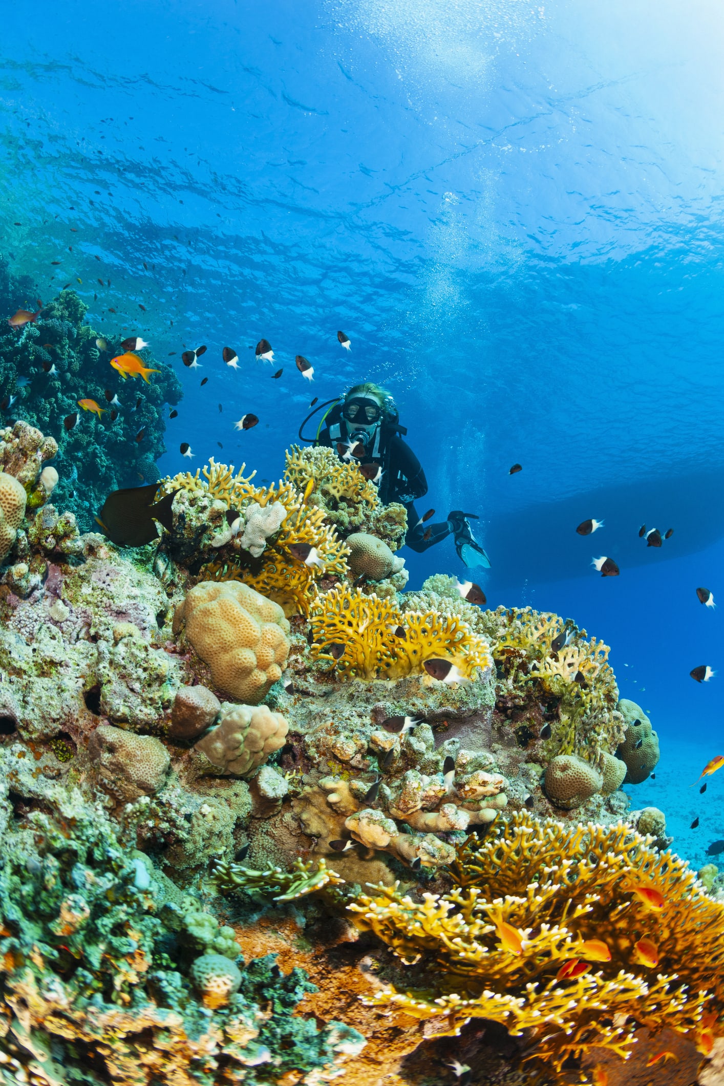 ทช. เผยภาพ 