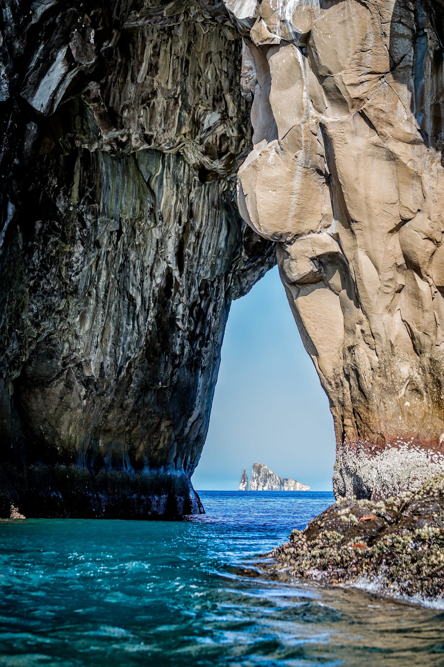 Las mejores fotos de las Islas Galápagos de 2022