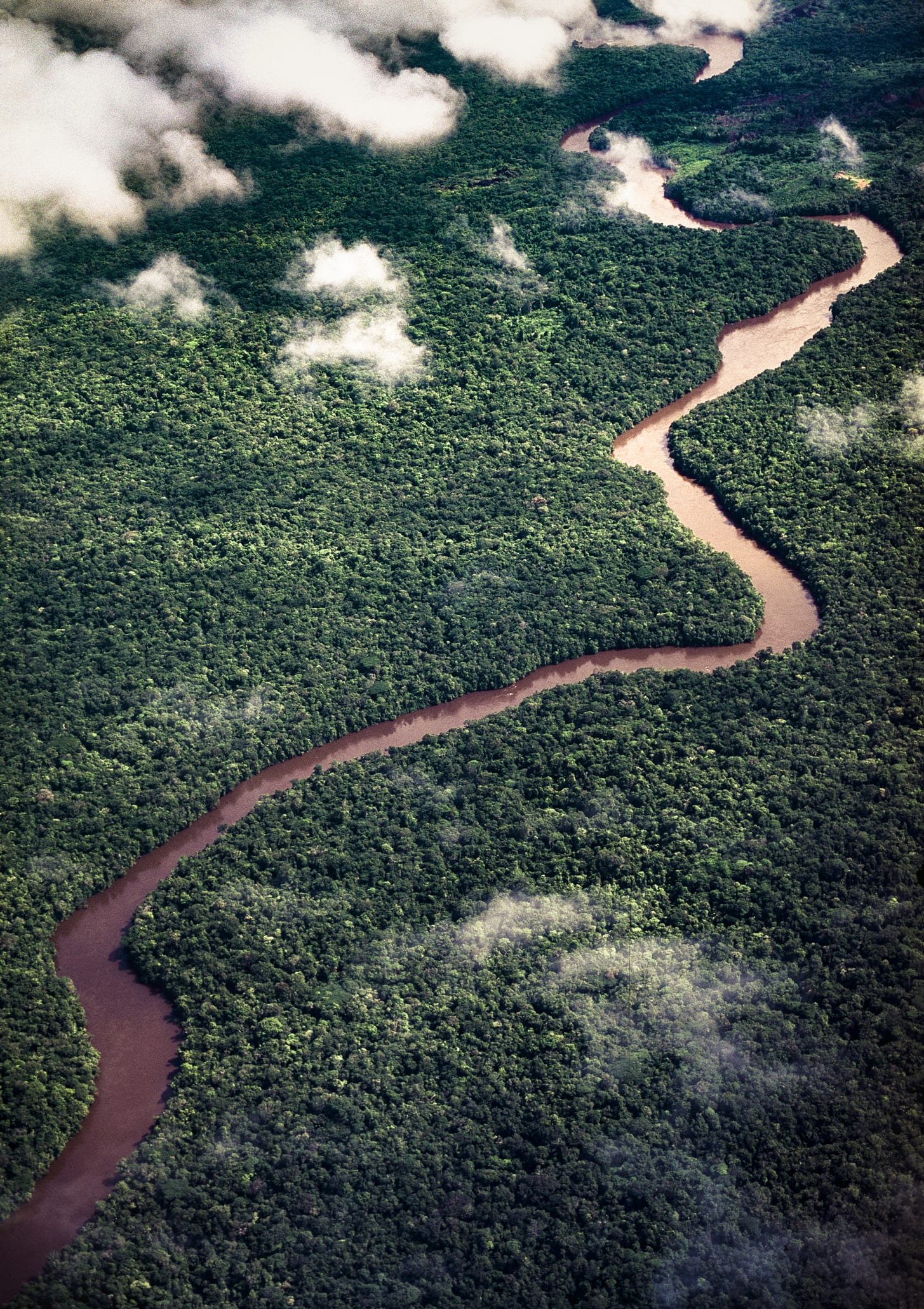 ทริปสุดแปลก จ่ายสามแสนไปว่ายน้ำกับอนาคอนดา