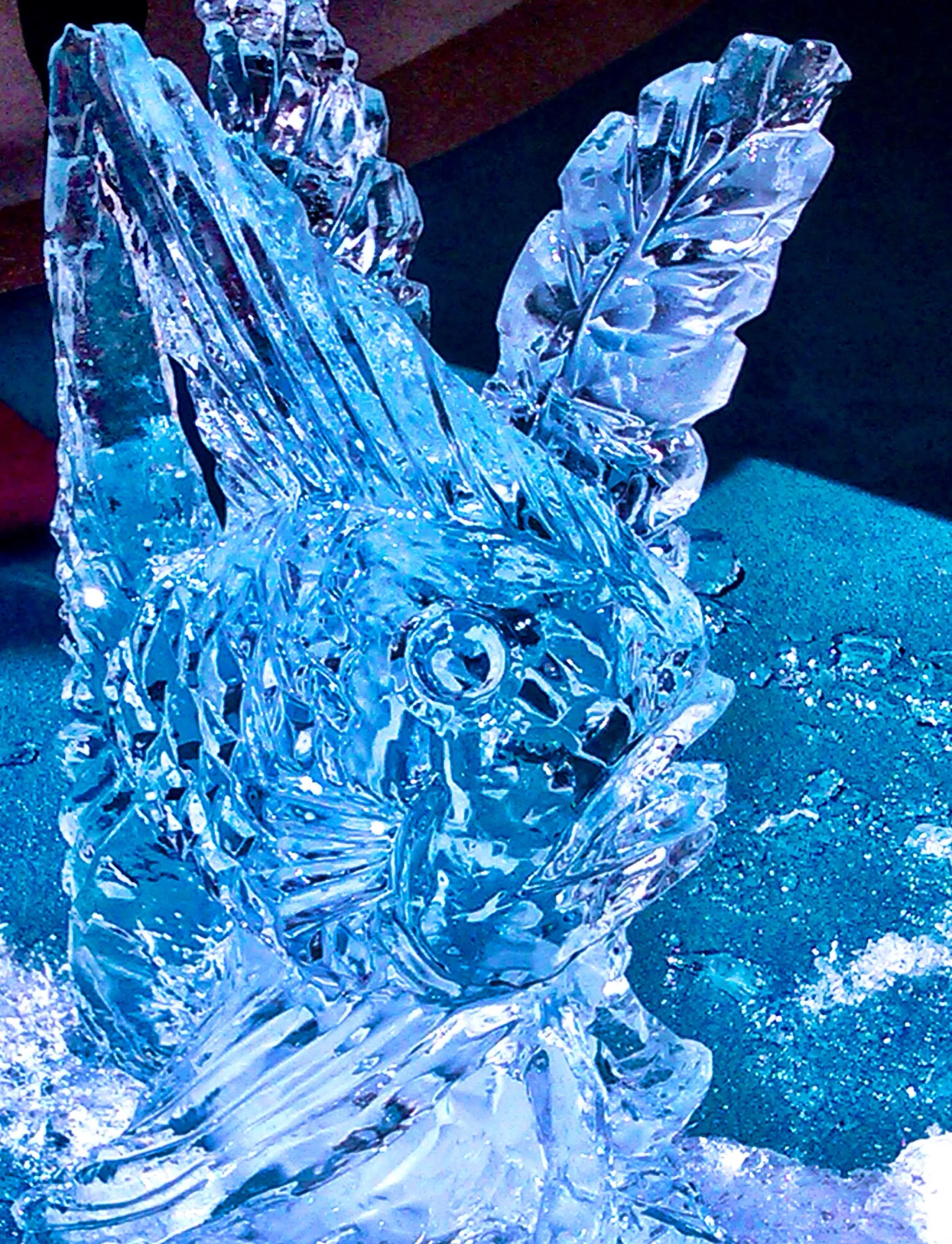 Watch This Guy Build (and Train in) a Gym Made out of Ice