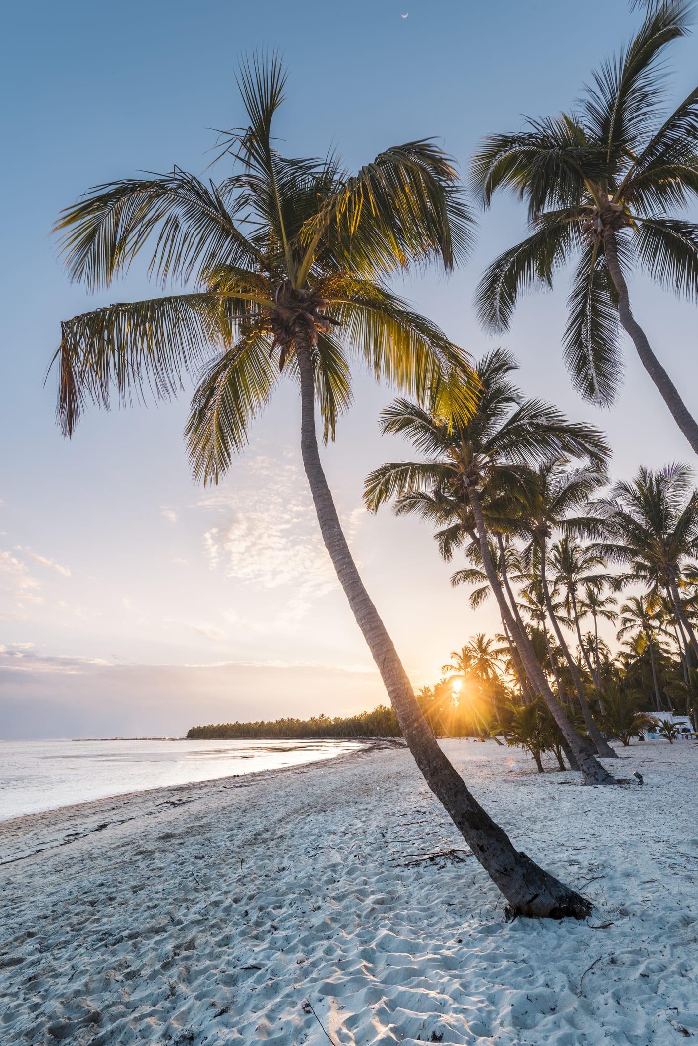 Lujo, gastronomía y naturaleza en Cap Cana, el área más exclusiva de Punta Cana