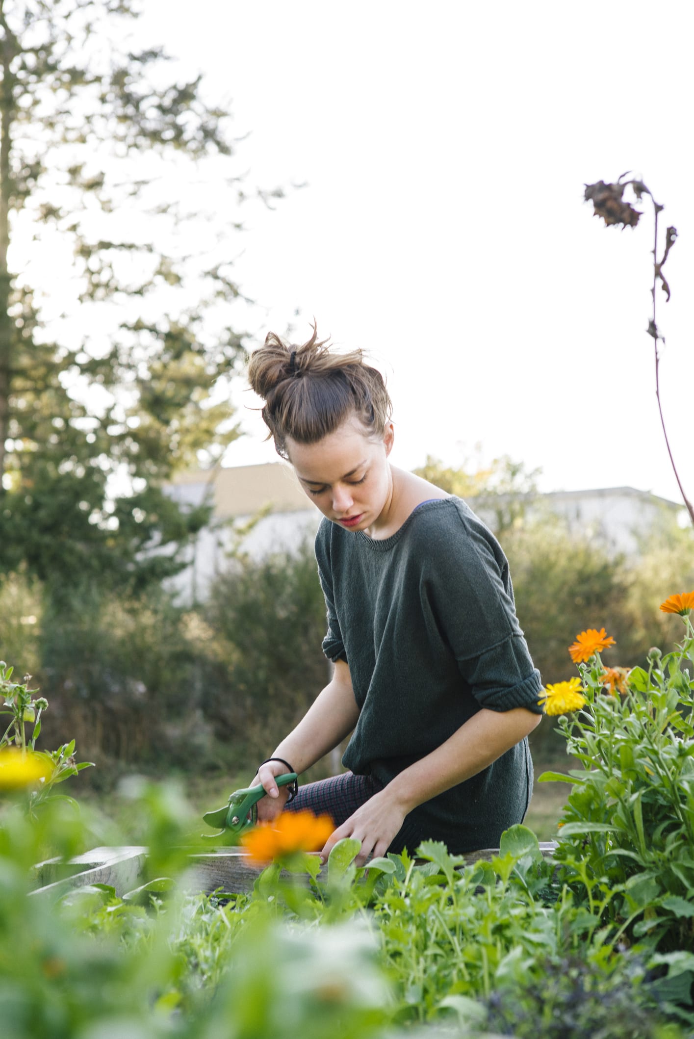 Der Mix aus dem Garten: Blumenerde günstig selbst mischen