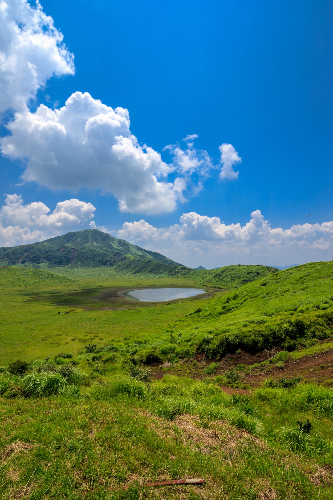 当たり前の豊かさを千年先へ。阿蘇・女性農家の挑戦。