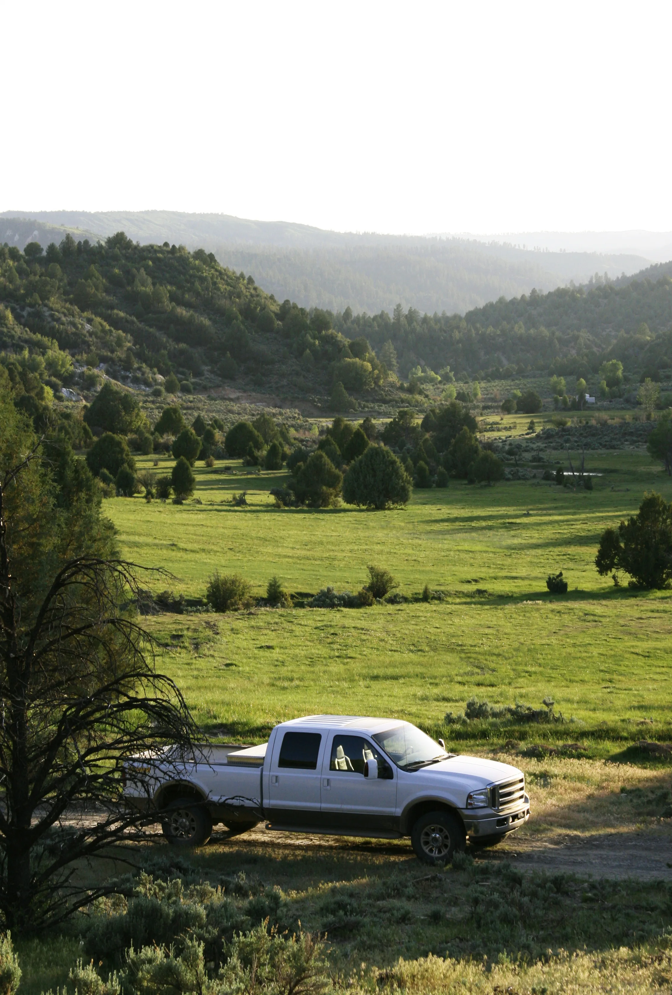 Xe bán tải giữ giá nhất khi bán lại