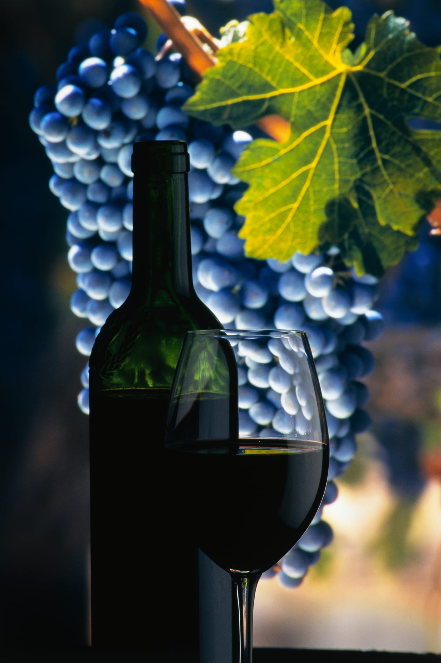 5 trucos muy efectivos para destapar una botella de vino sin sacacorchos