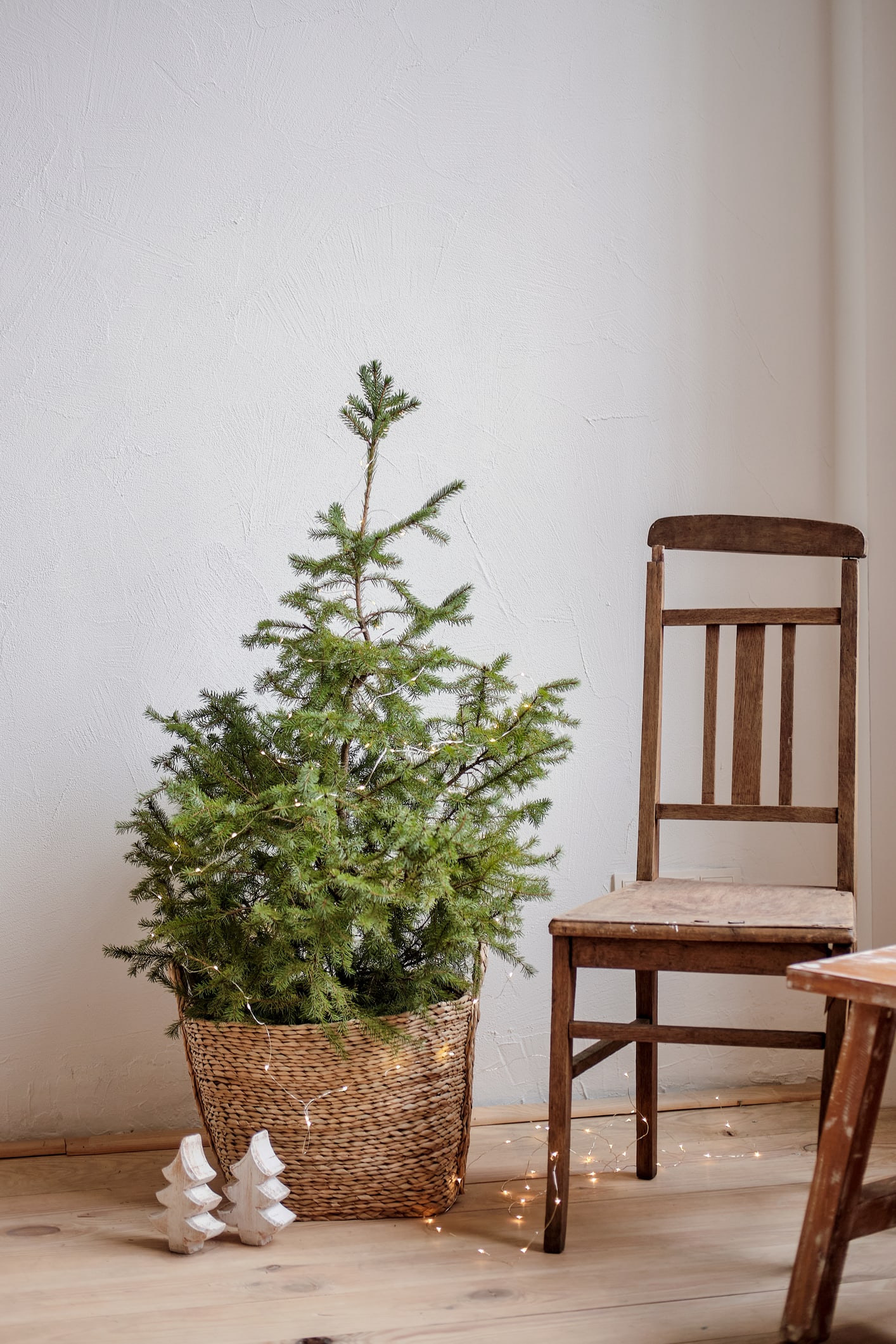 10 of the best large indoor pots and outdoor pots to shop in 2022