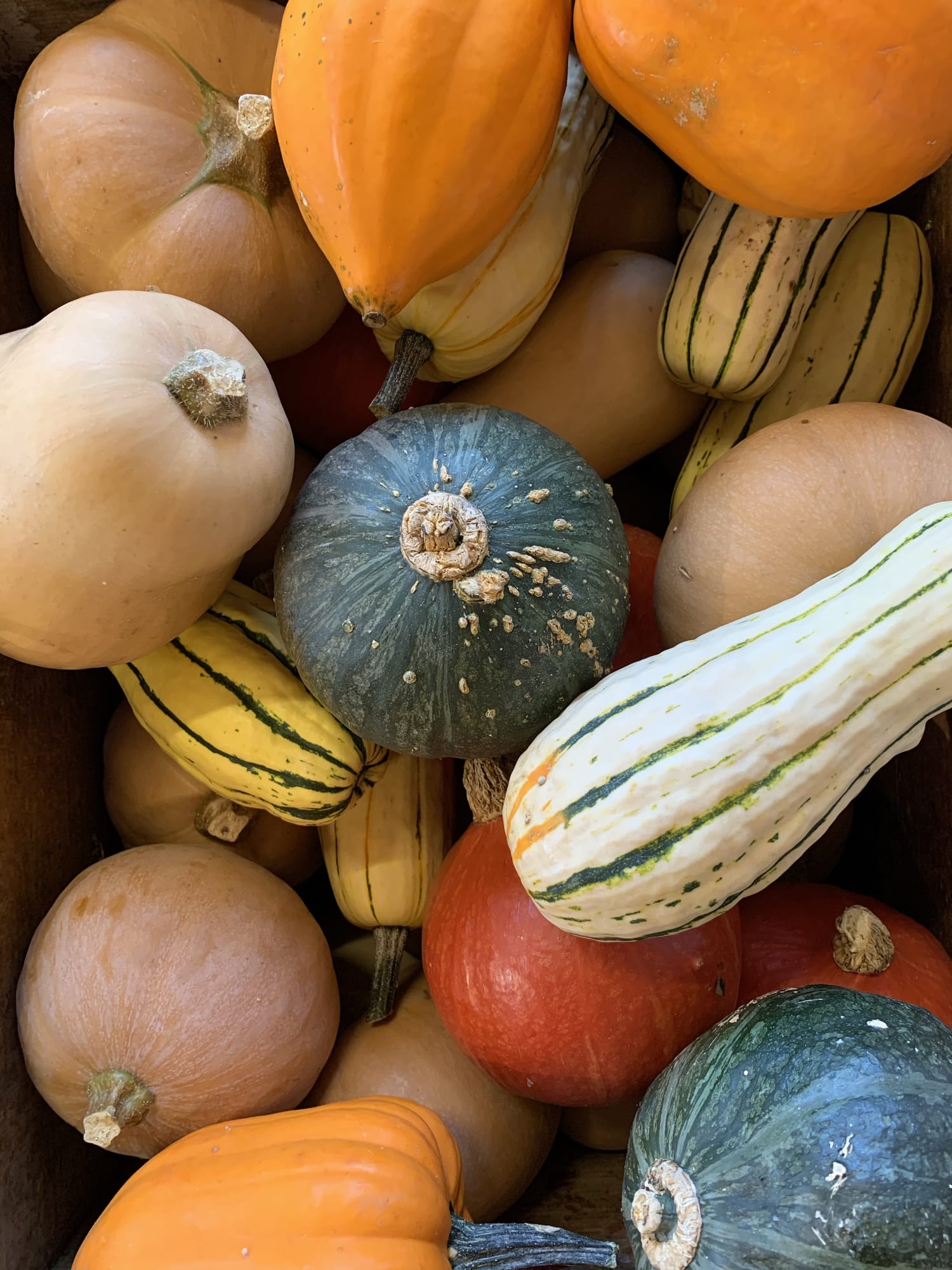 كيف يساعدك اليقطين في السيطرة على الكوليسترول ؟