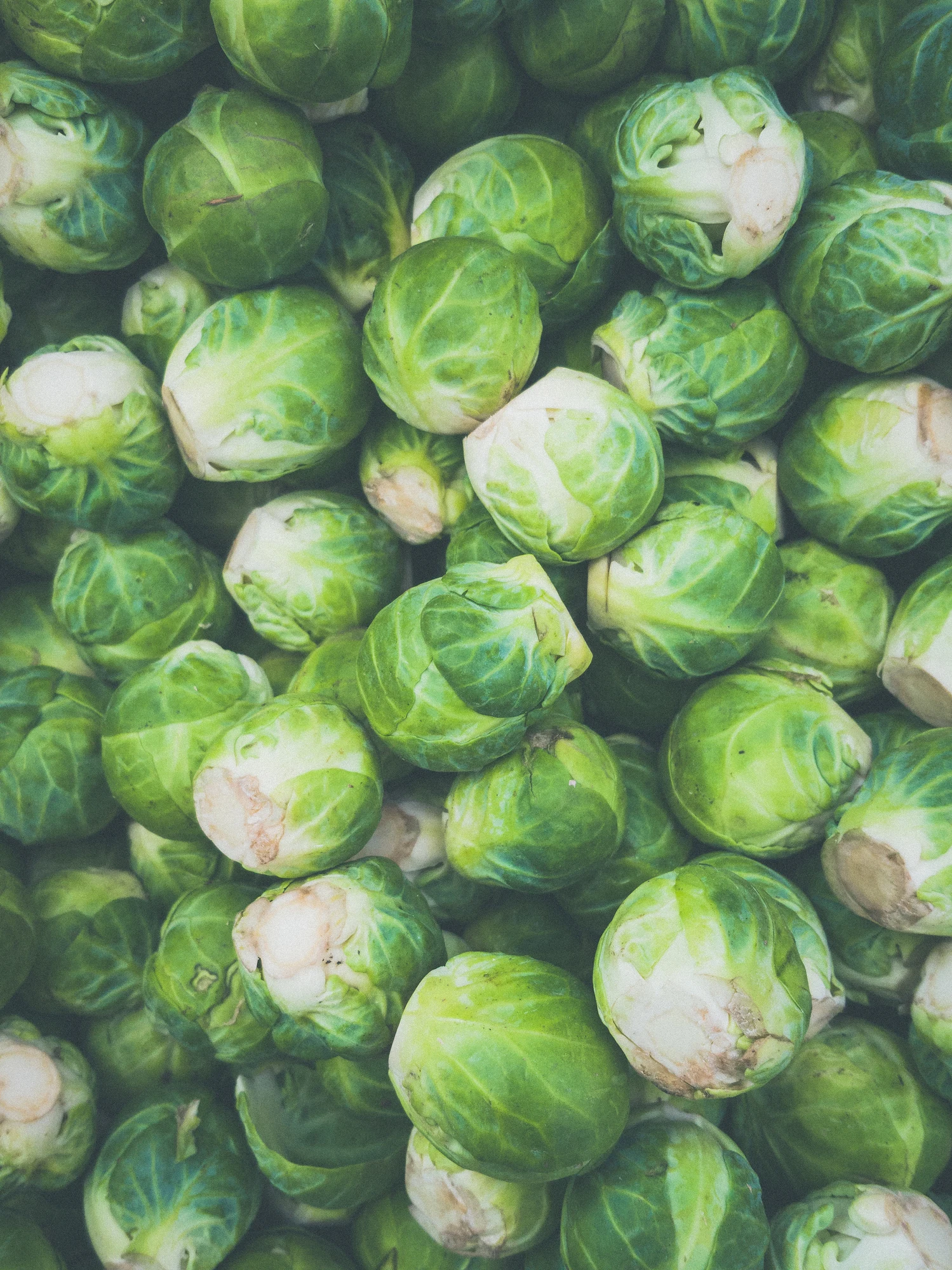 Non ti piacciono i cavoletti di Bruxelles? Se li cucini così cambierai idea!