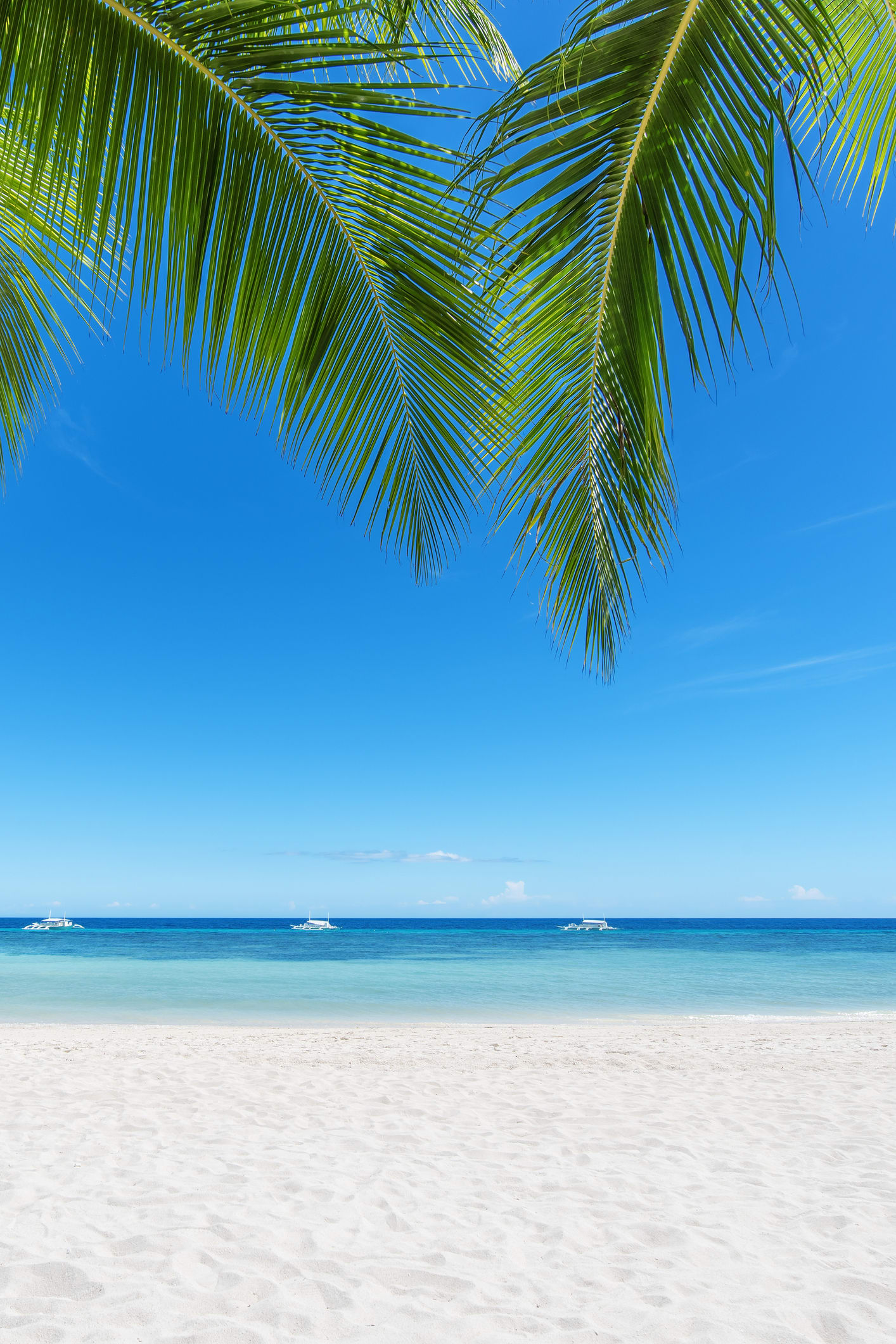 Everyone's talking about: The Coastal Grandmother 