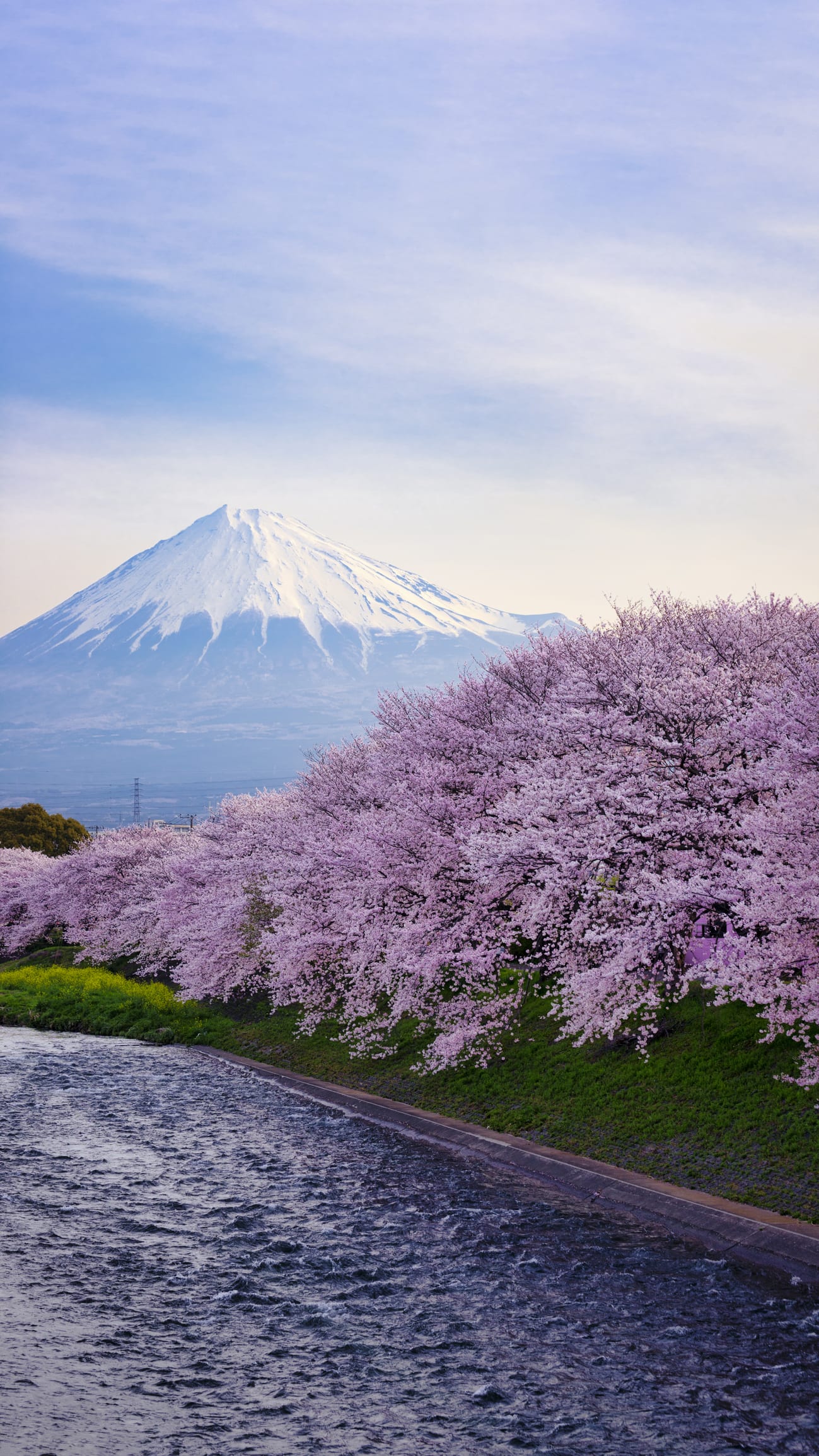 Le top des prénoms japonais pour fille et leurs significations