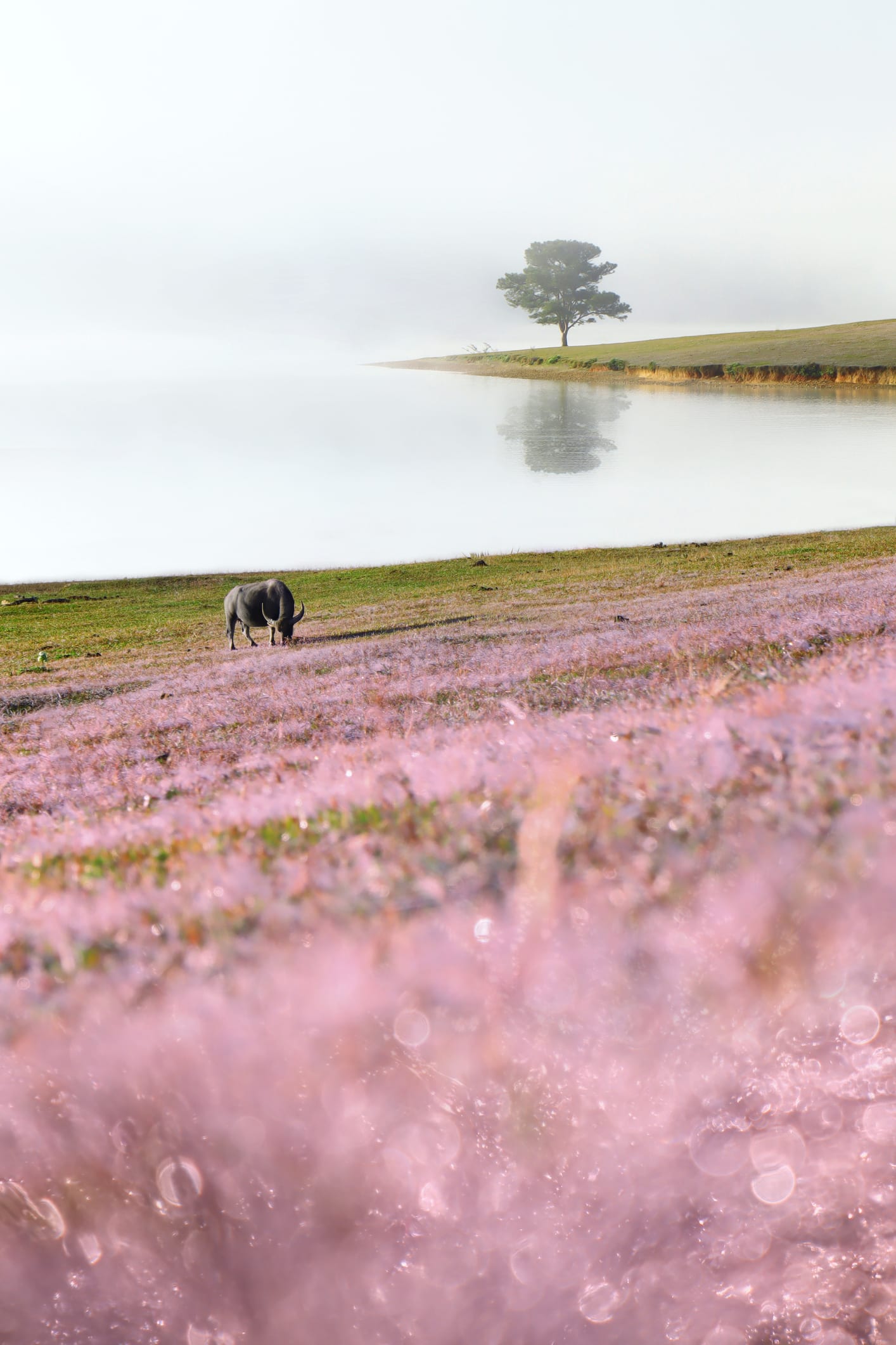 Về quê sống chất lượng với một tỷ đồng