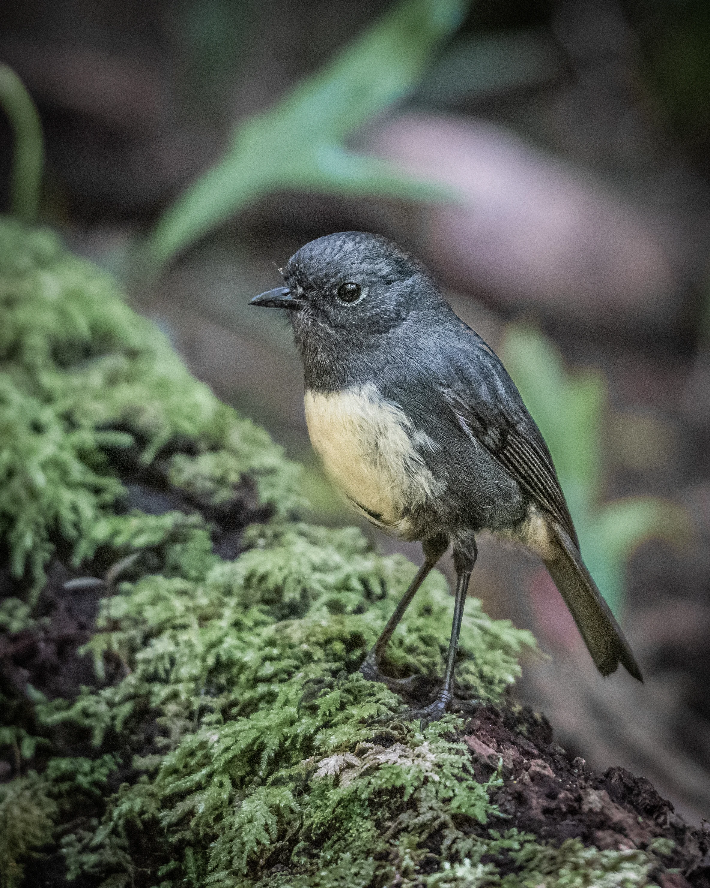 อวดโฉมเจ้าตัวเล็ก 