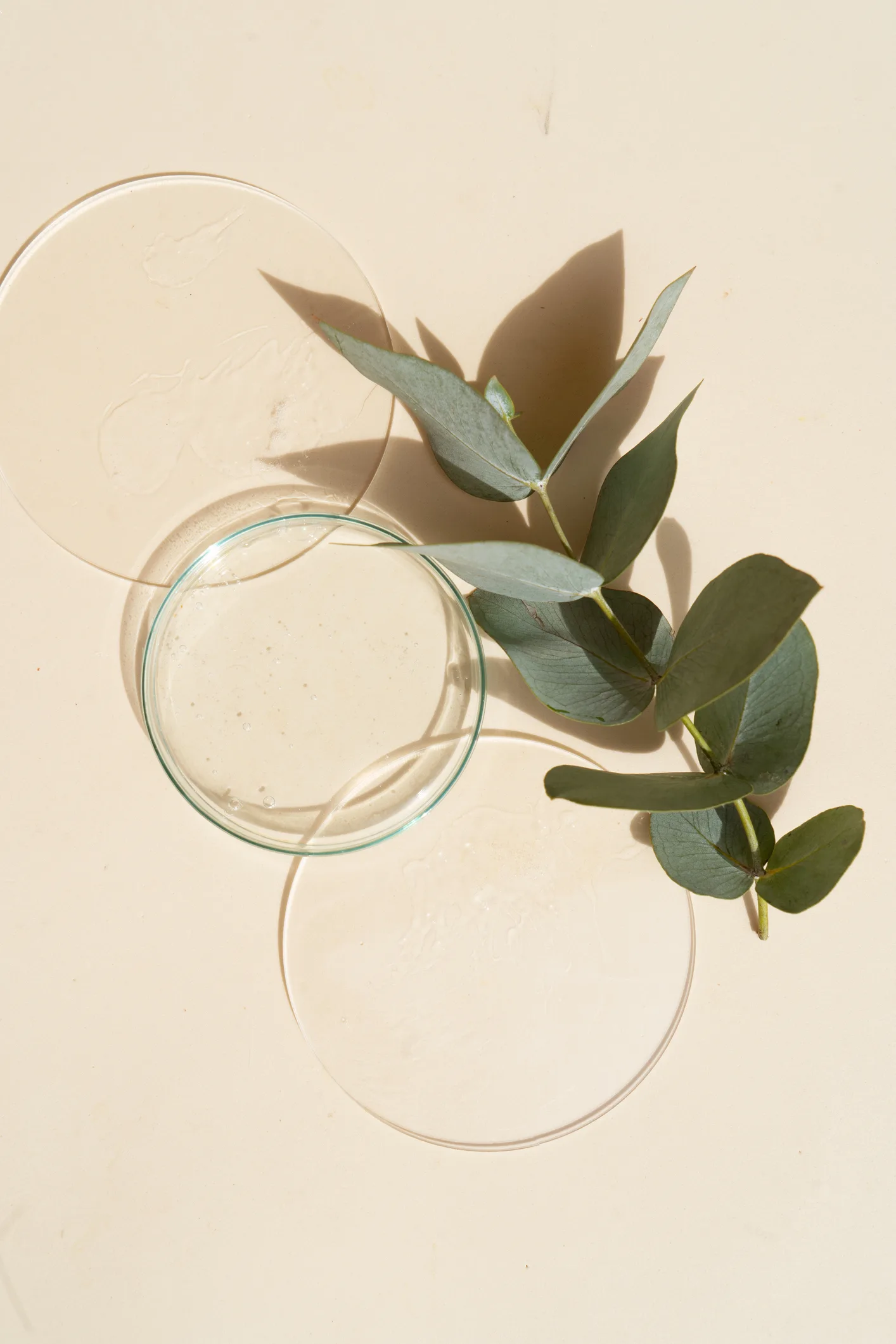 15 best vegan skincare products - Top vegan skin brands 2022