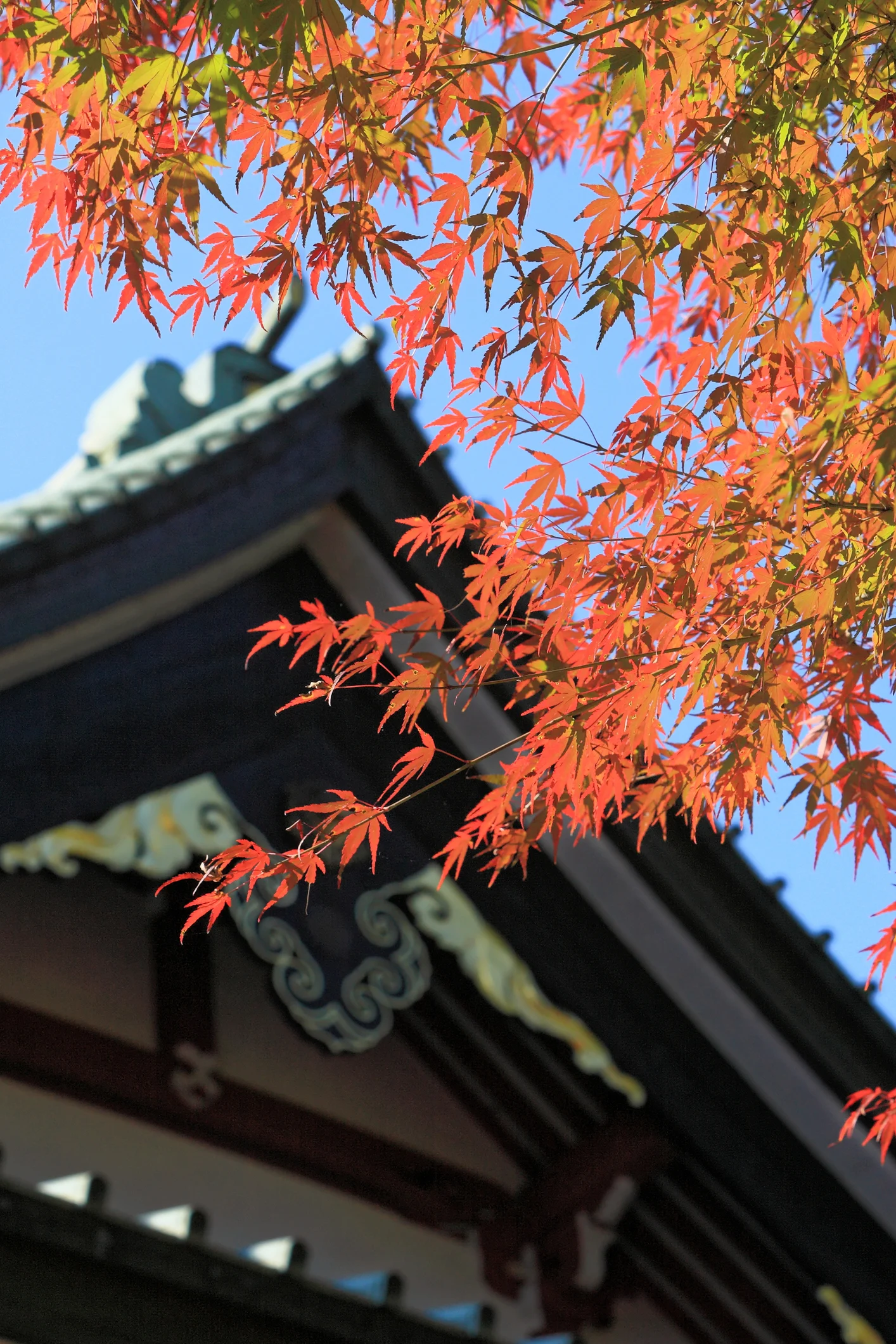 織田信長は仏教が嫌いだったのか?「比叡山焼き討ち」の真相