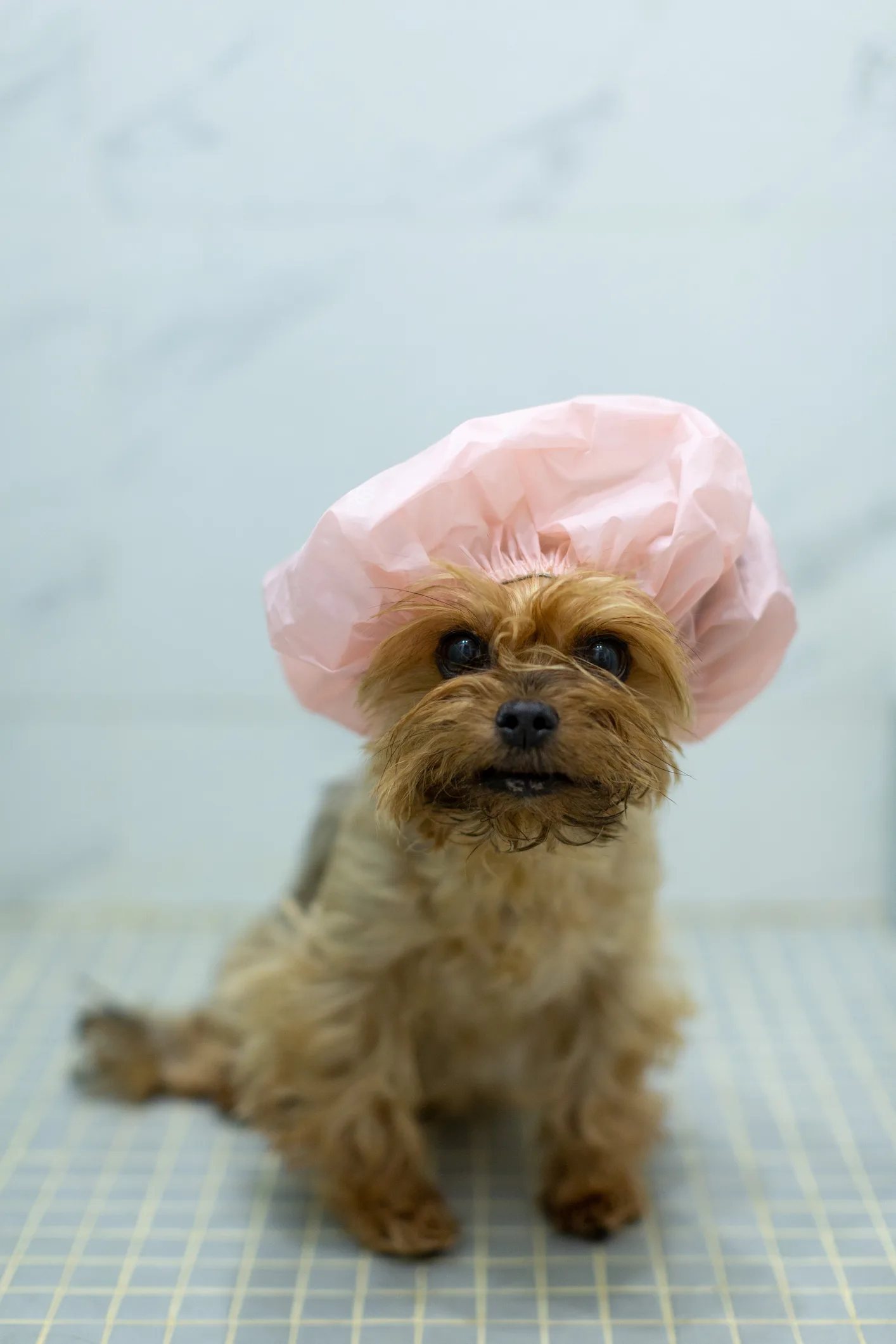 Hairdresser explains why you should never tie your hair up when wet