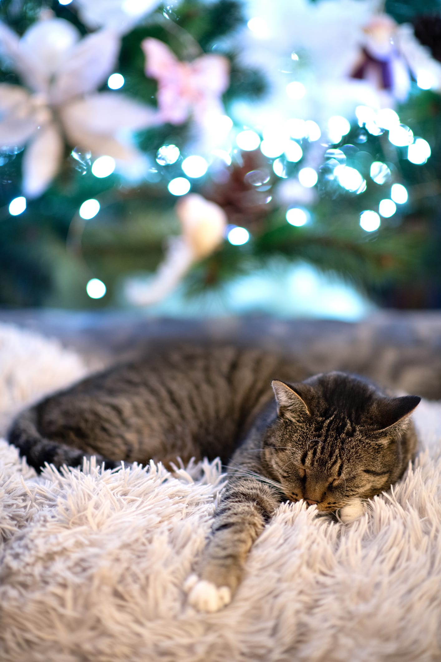 How to sleep better without following strict sleep hygiene rules