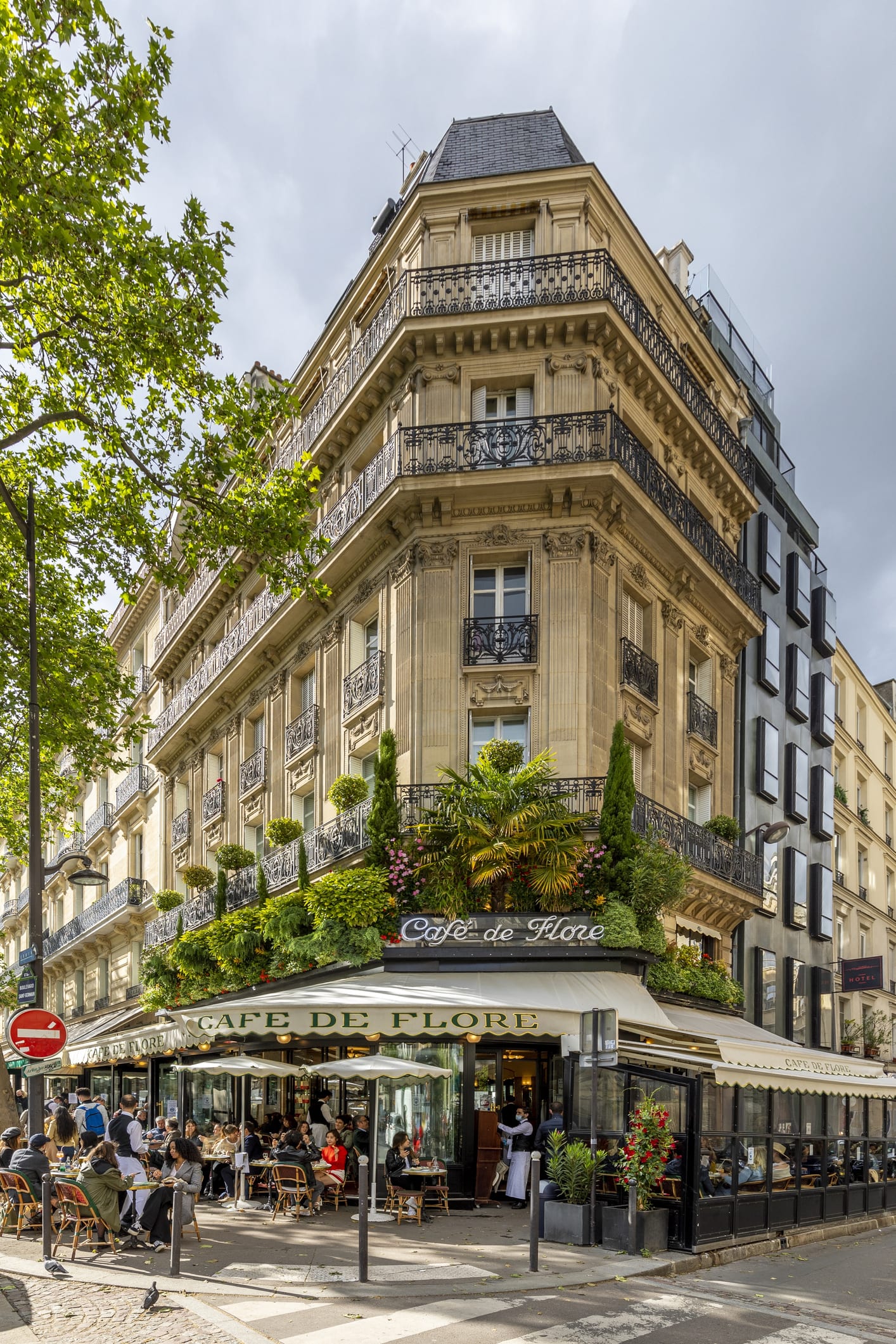 Allarme topi a Parigi. Ma una convivenza con gli umani è possibile?