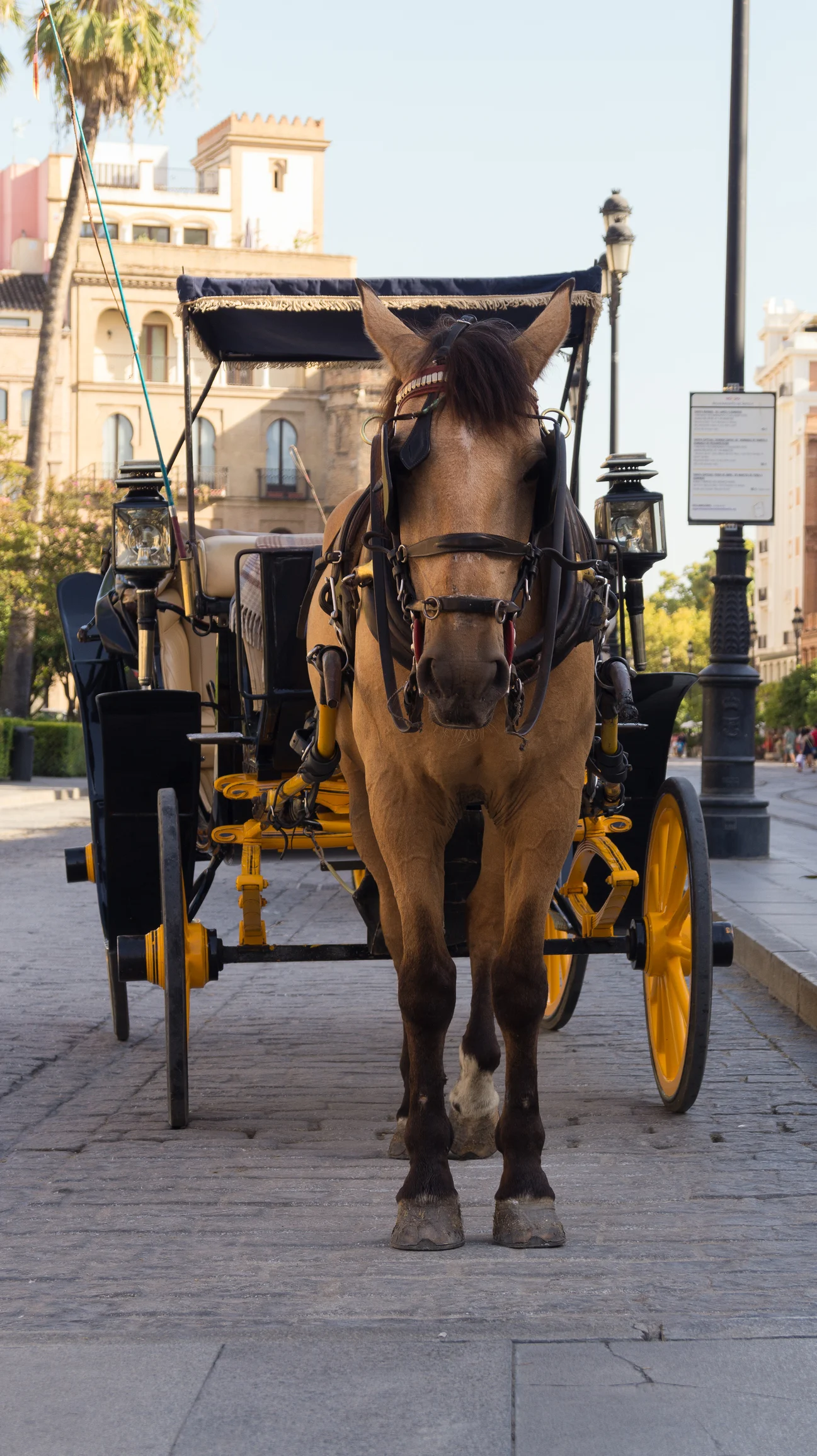 10 Relics From Horse-Powered Cities Hiding in Plain Sight