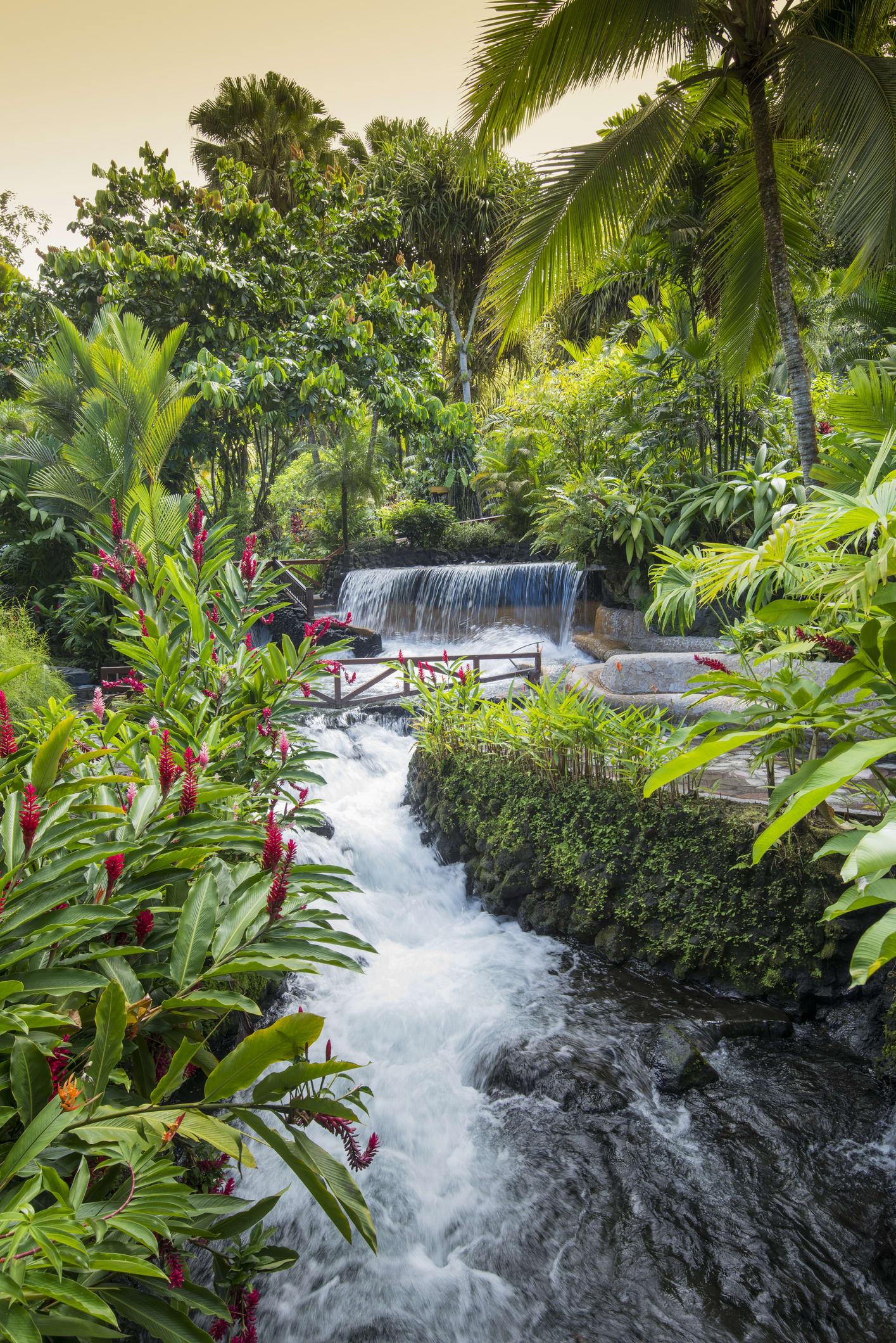 The best places to stay... in the WORLD: Scarborough B&B is named best on Earth AGAIN, the No.1 hotel overall is in Costa Rica and New York is home to America's top property in Tripadvisor awards