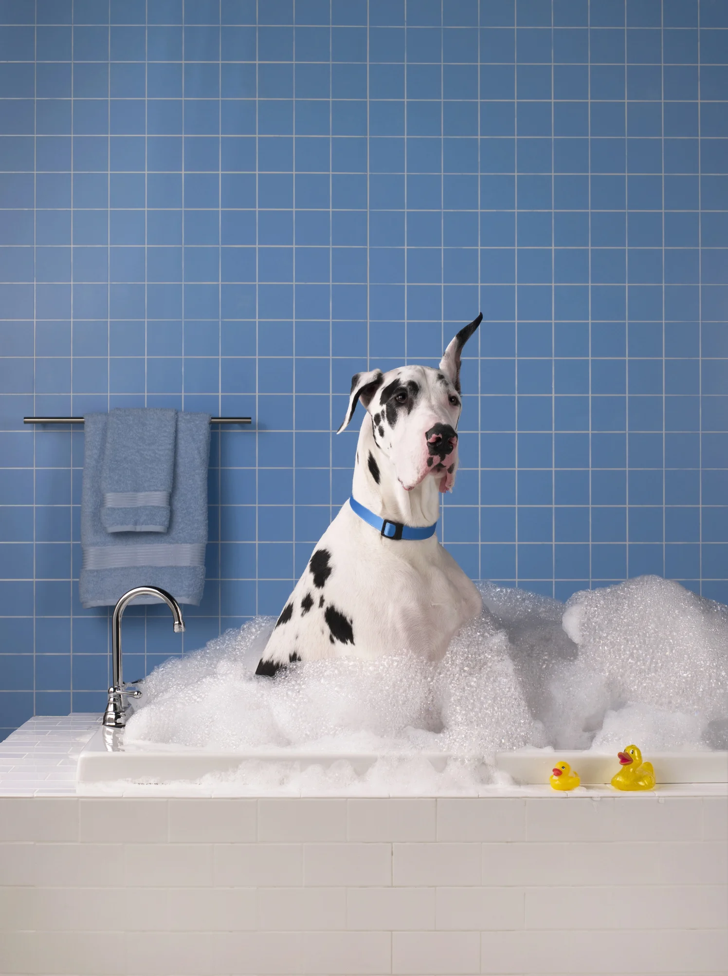 Simple hack shows how to get rid of pesky bathroom mould