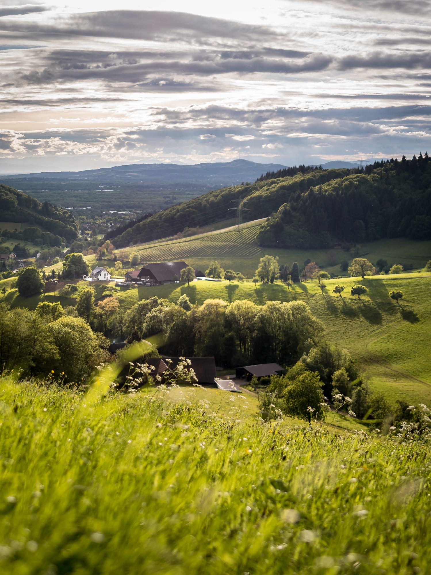 Kindheit auf dem Dorf: Diese 21 Dinge kennen nur Dorfkinder