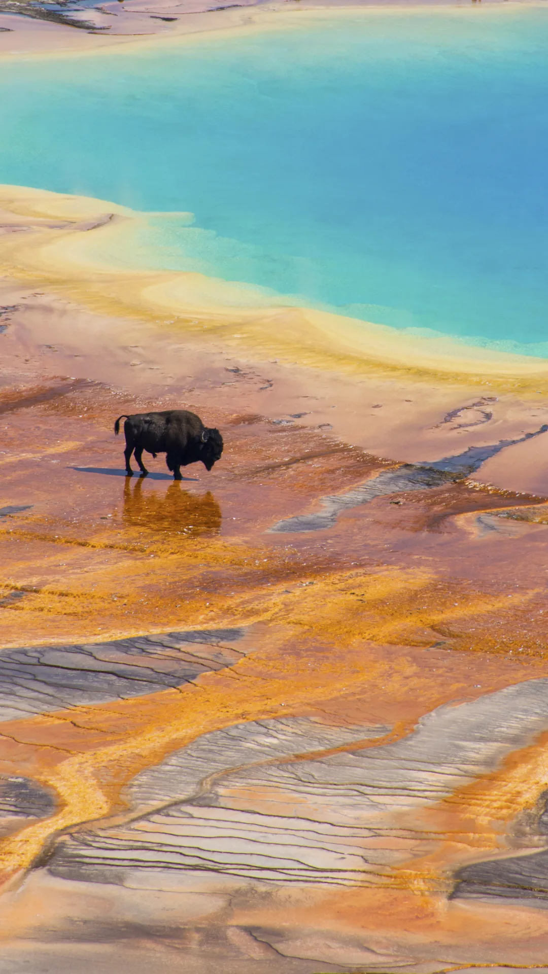 25 Naturschönheiten: Diese US-Parks müssen Sie sehen!