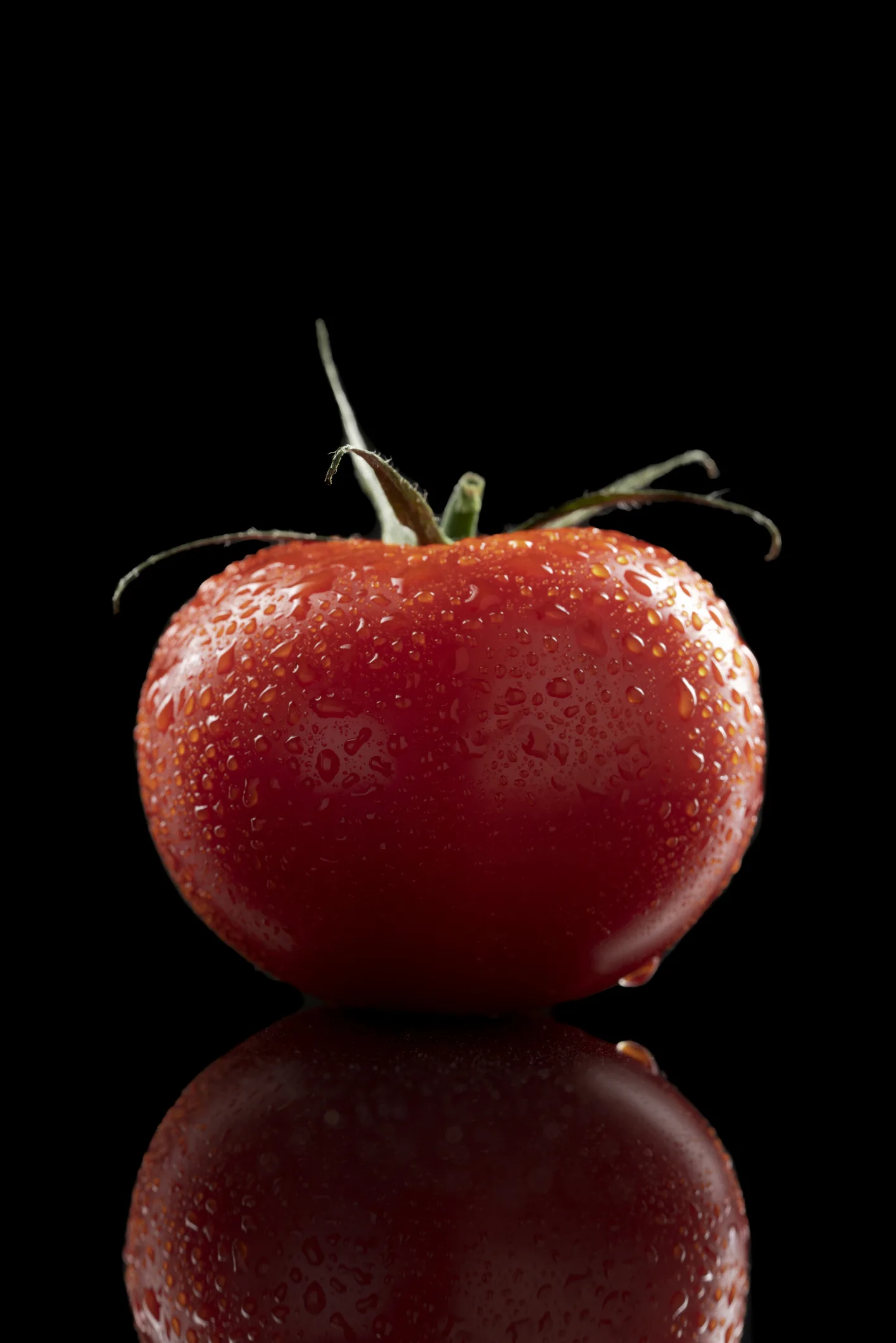 ¿Cómo plantar y cultivar tomate en casa?
