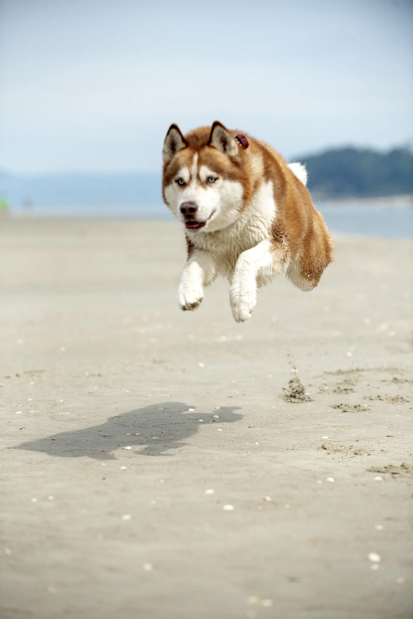 DR MARTIN SCURR answers your health questions