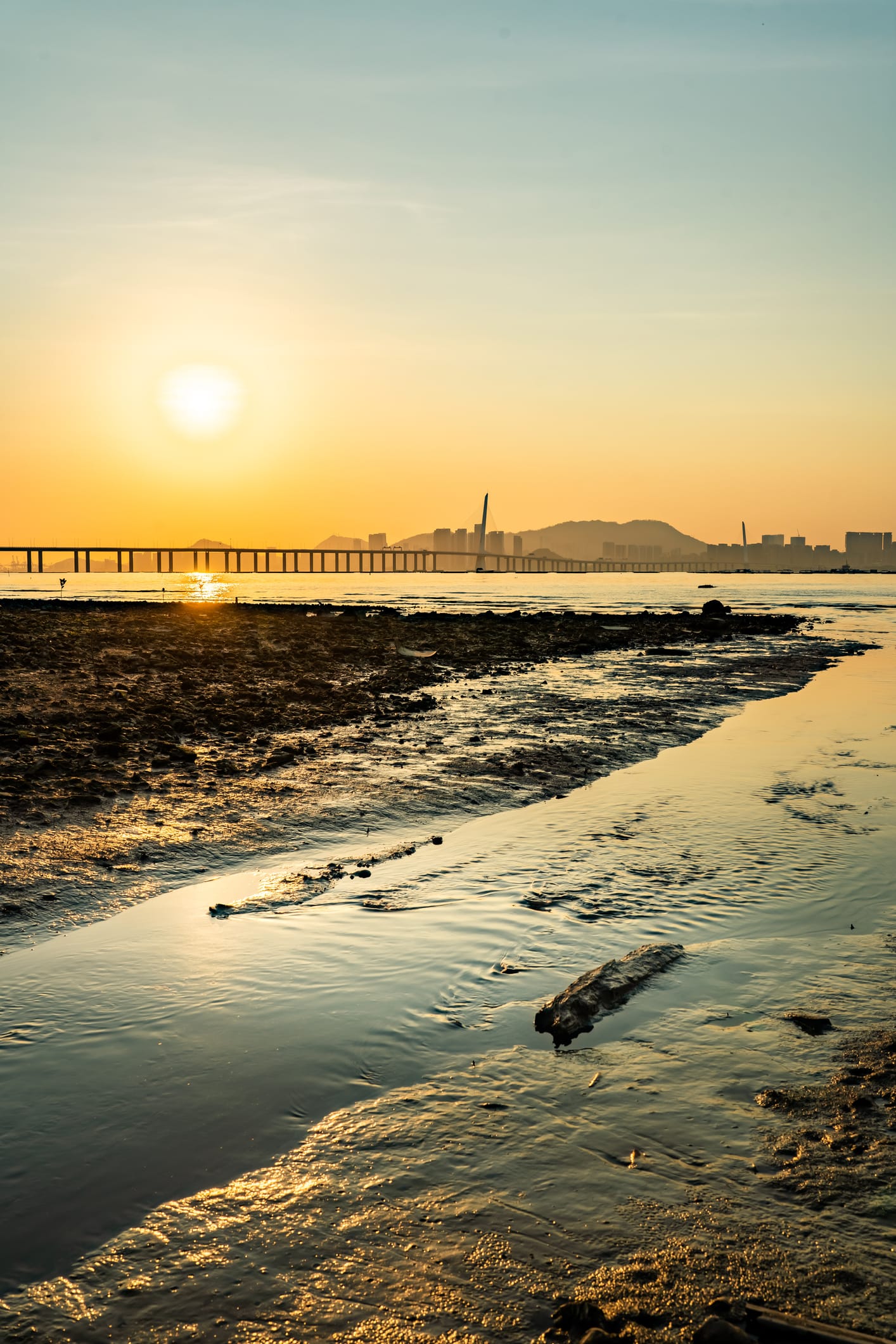 Perché è importante dire basta ai retini in spiaggia per catturare piccoli animali
