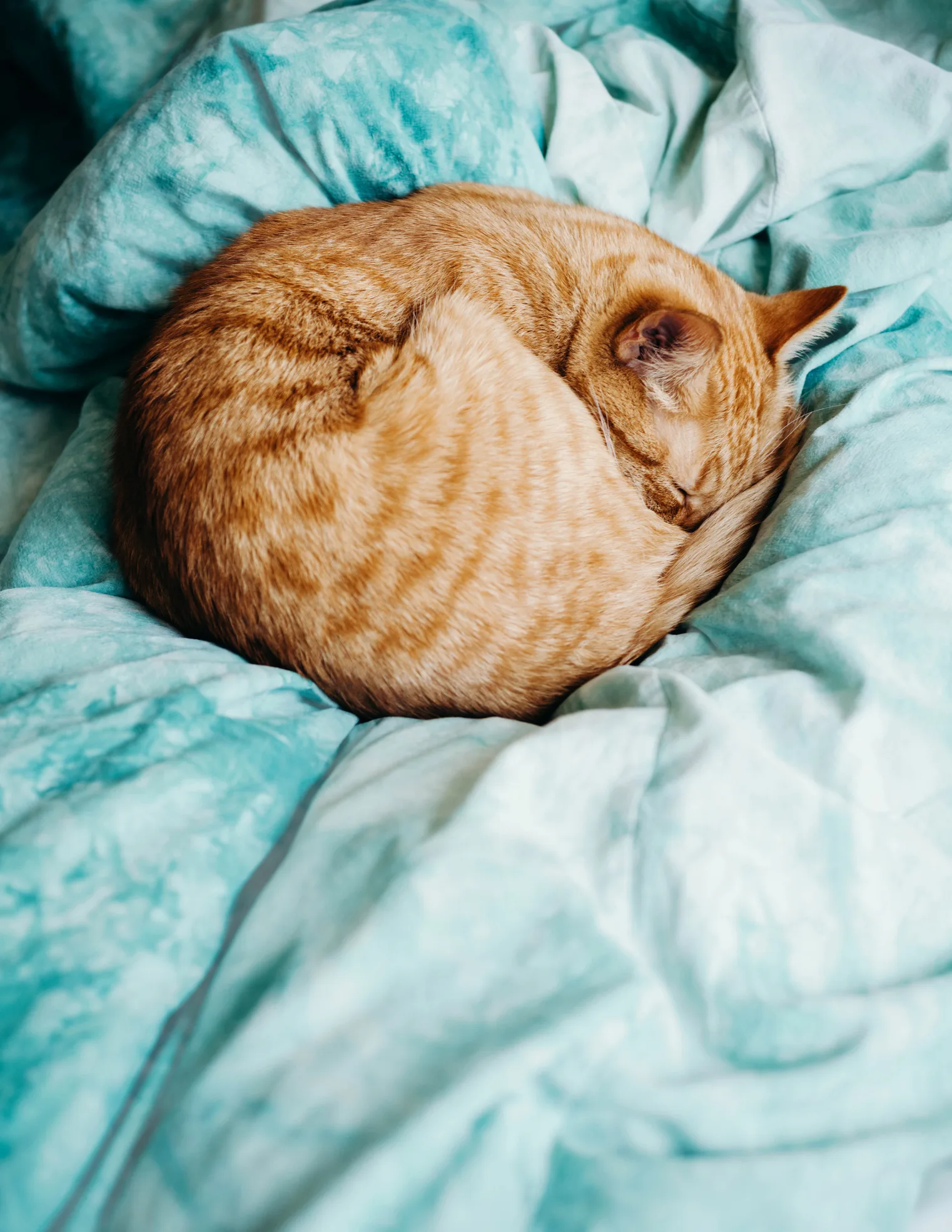 Wie bitte? DESHALB kannst du in der Nacht VOR deiner Periode nicht schlafen