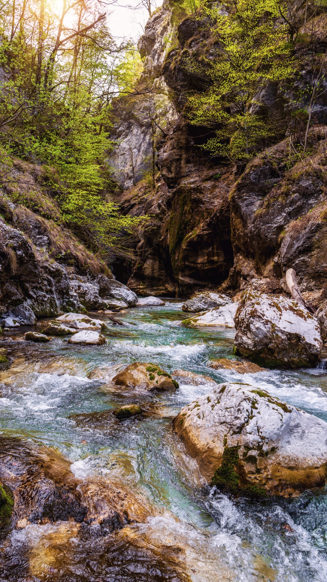 Survival Tipps: So überleben Sie in der Wildnis