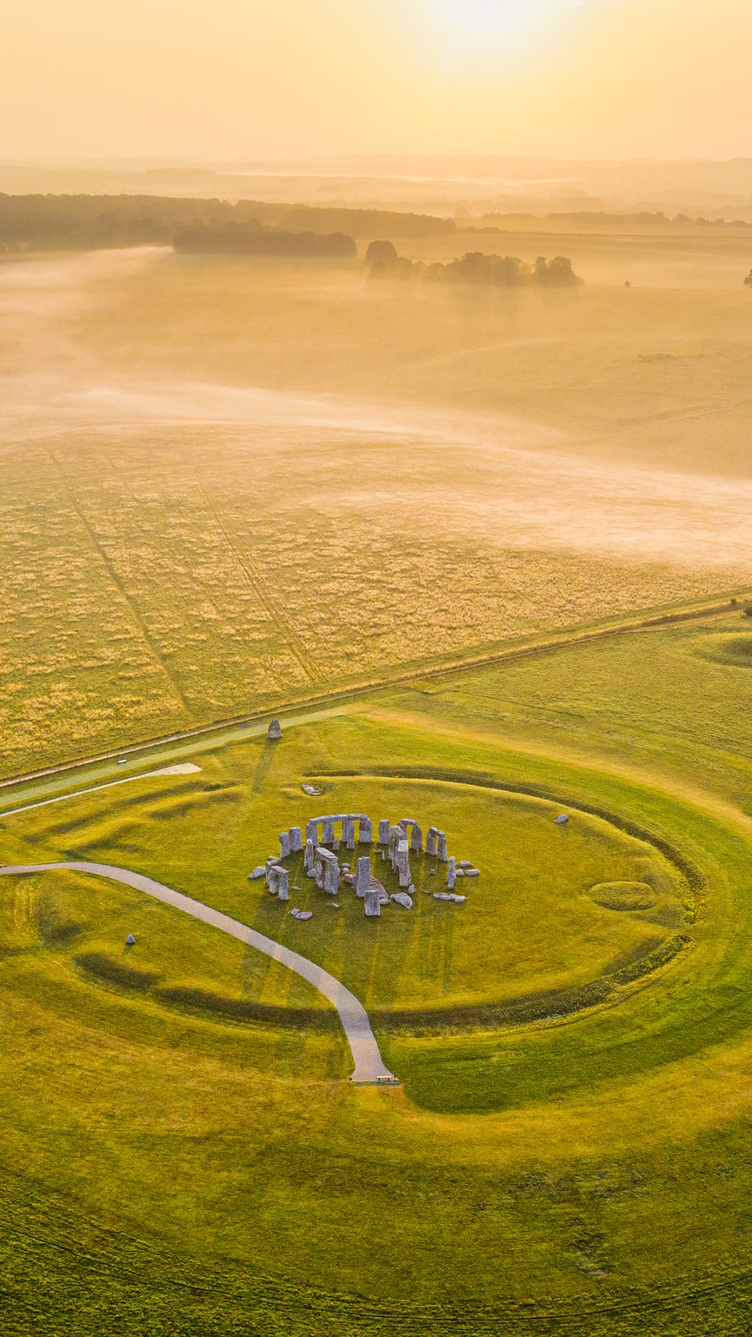 From a comet passing over Stonehenge to lavender fields lit up by the Milky Way: Shortlist for the Royal Observatory's Astronomy Photographer of the Year 2021 is revealed 