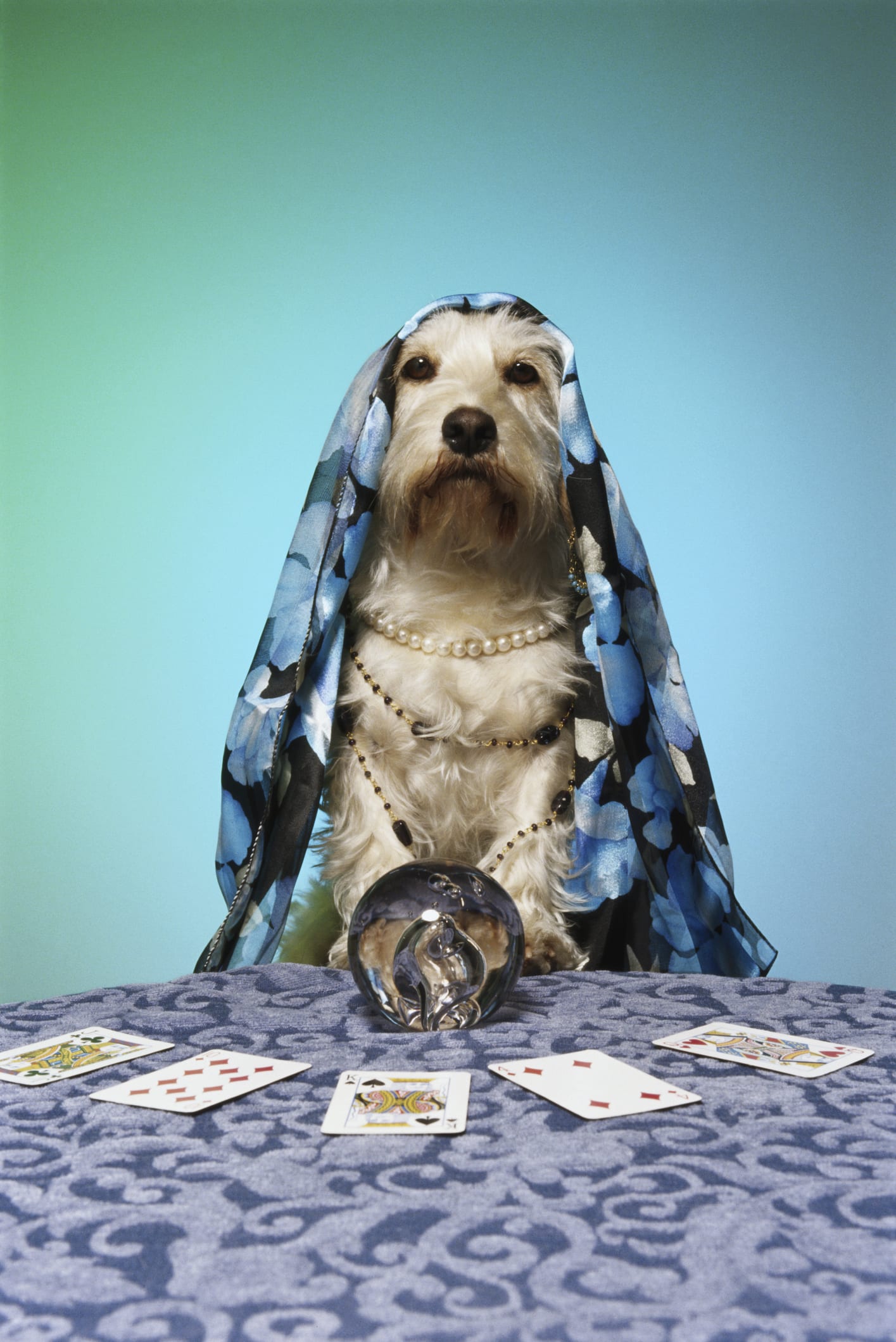 Can 'seeing' the future make you change the life you live now