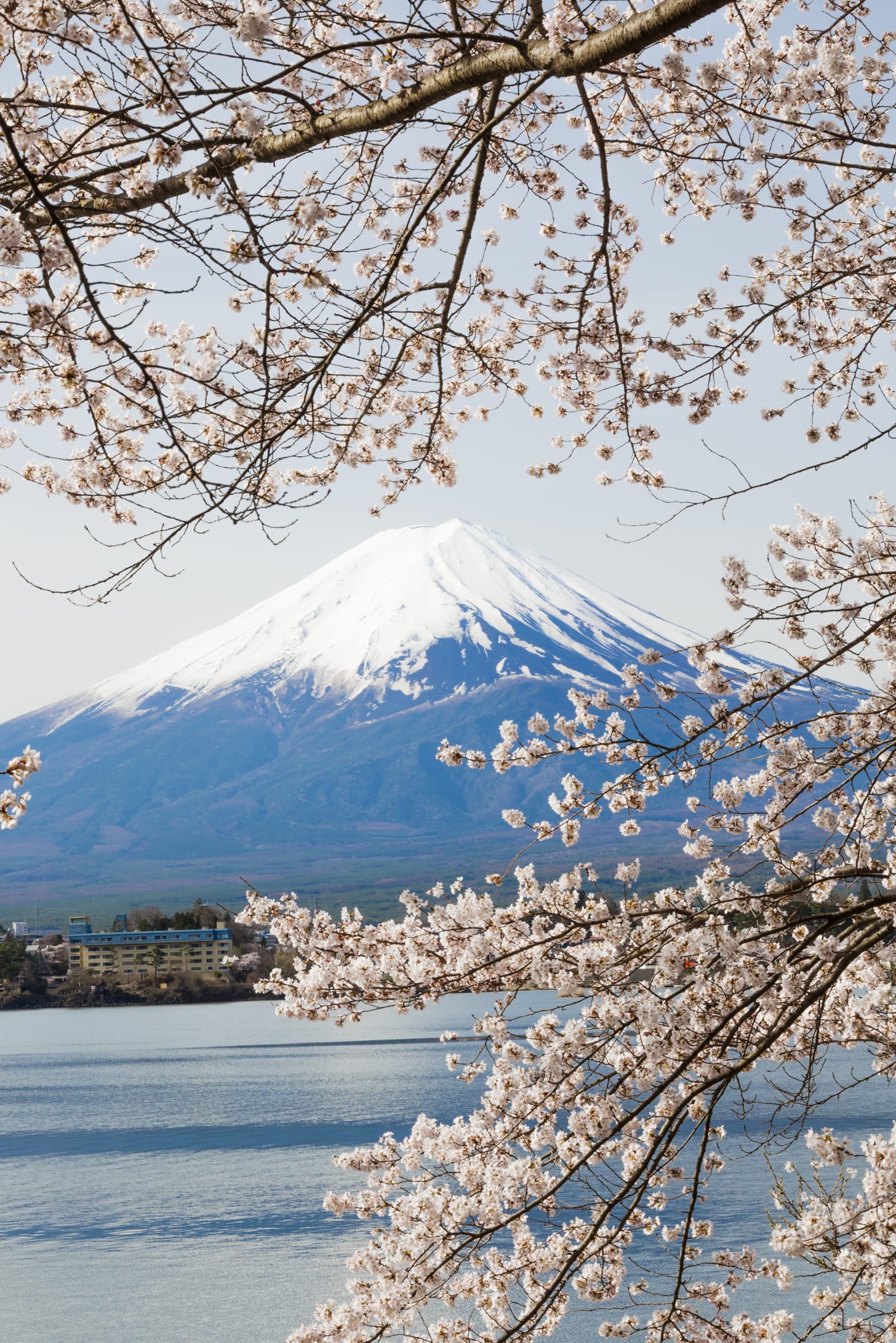 “褒め上手”が最も多いのは「鹿児島県」…“聞き上手”は「滋賀県」、“気づき上手”は「熊本県」　人に優しい都道府県ランキング