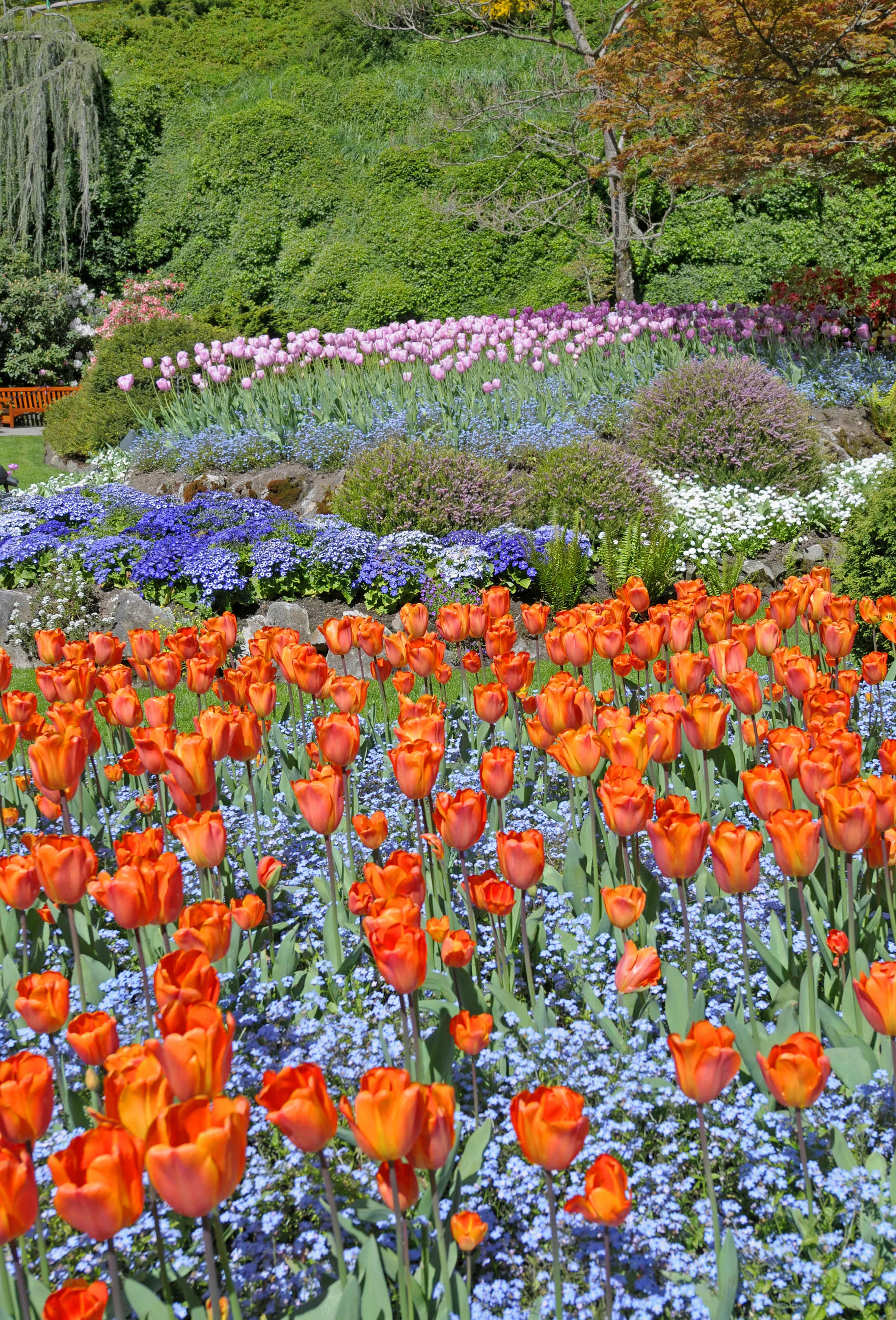 Un paseo por los diez jardines más bonitos del mundo