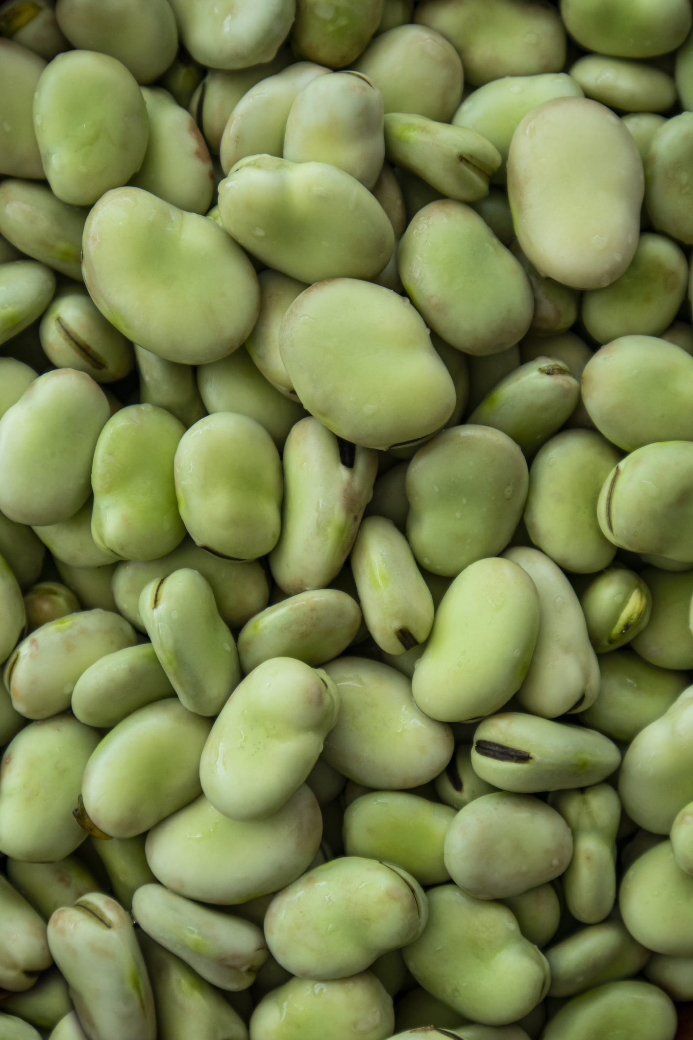 Cómo cocinar habas: recetas fáciles, rápidas y deliciosas