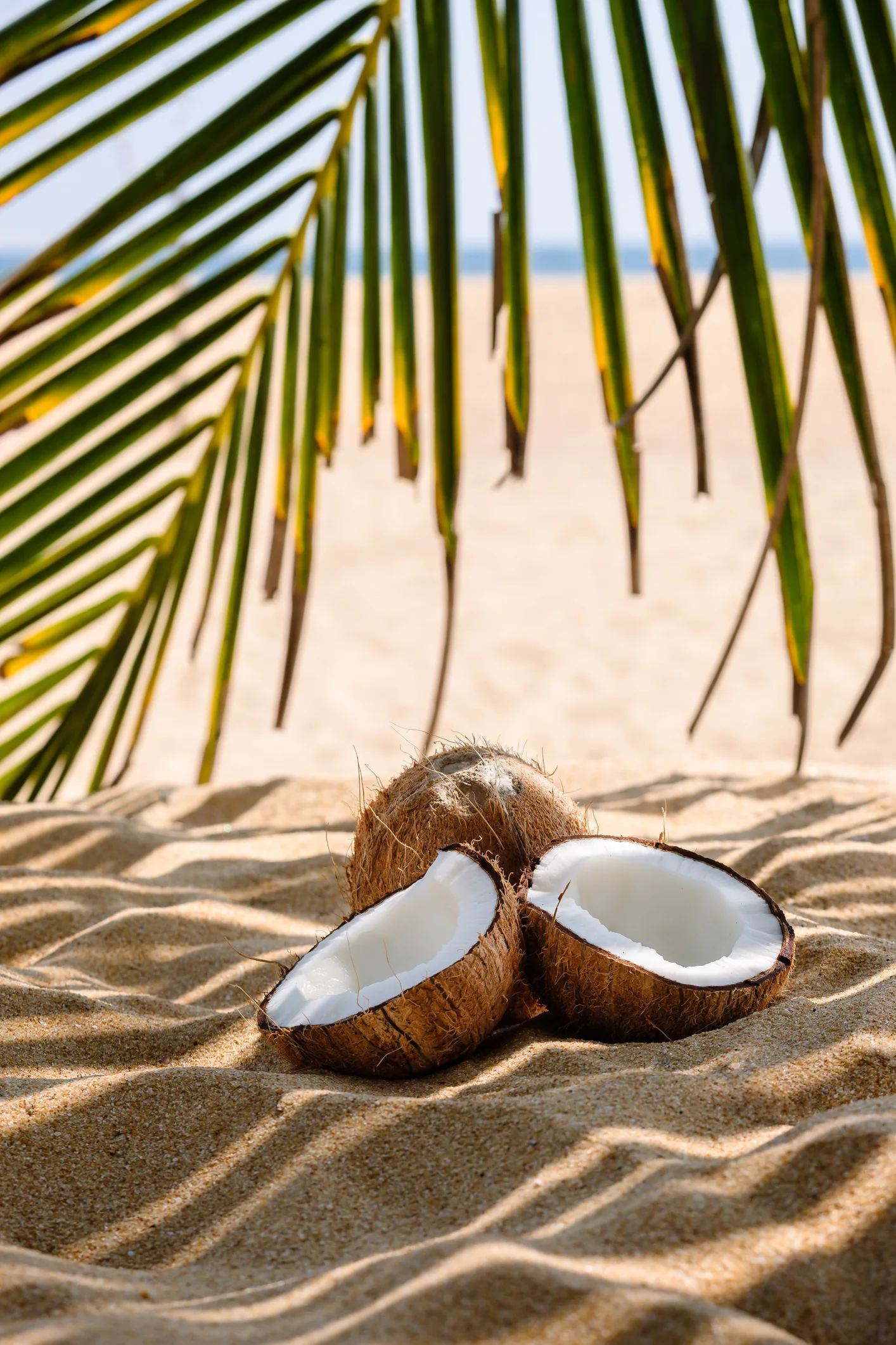 Three Creole recipes to give you a taste of the Caribbean