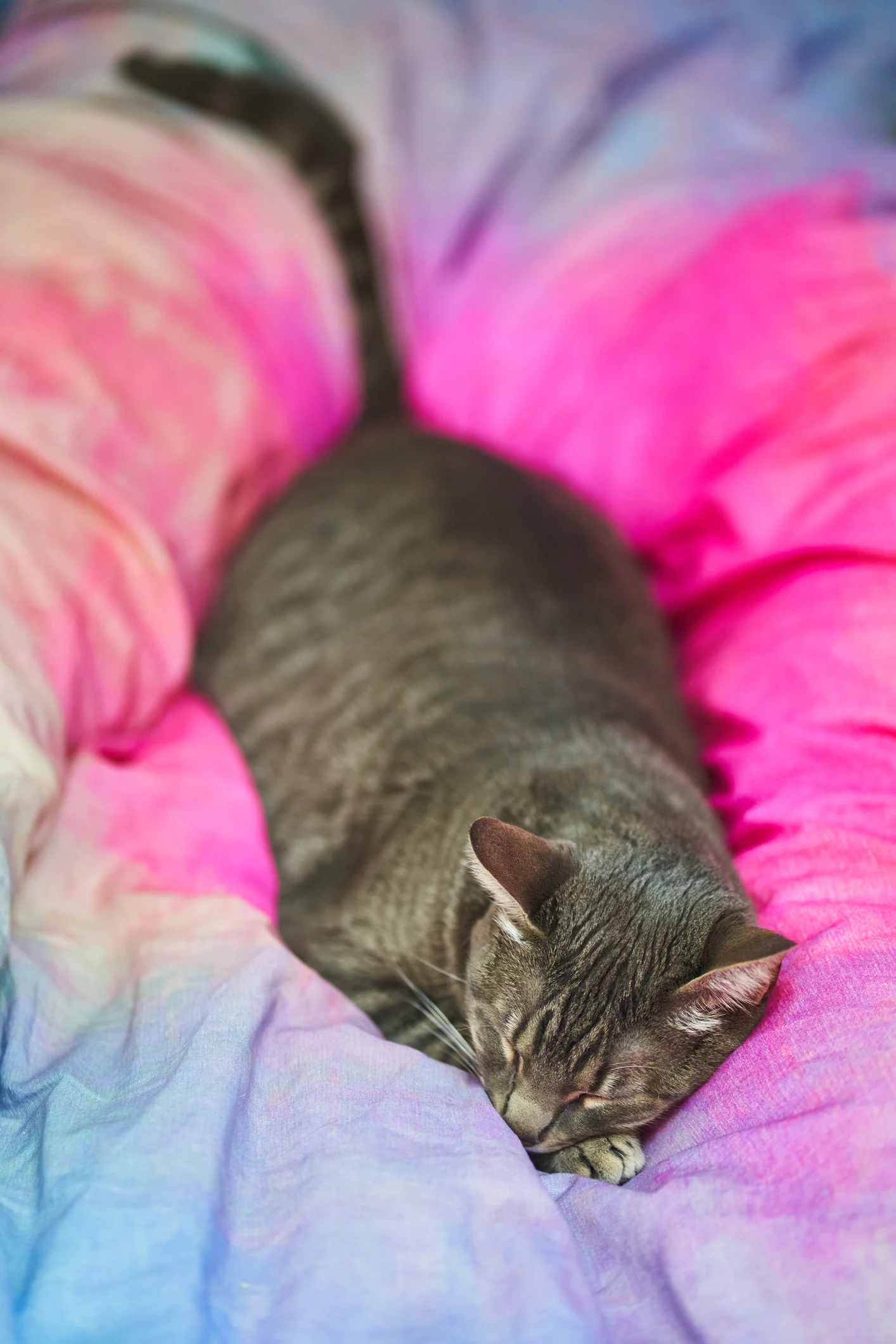 How to get more deep sleep every night - and why it's important