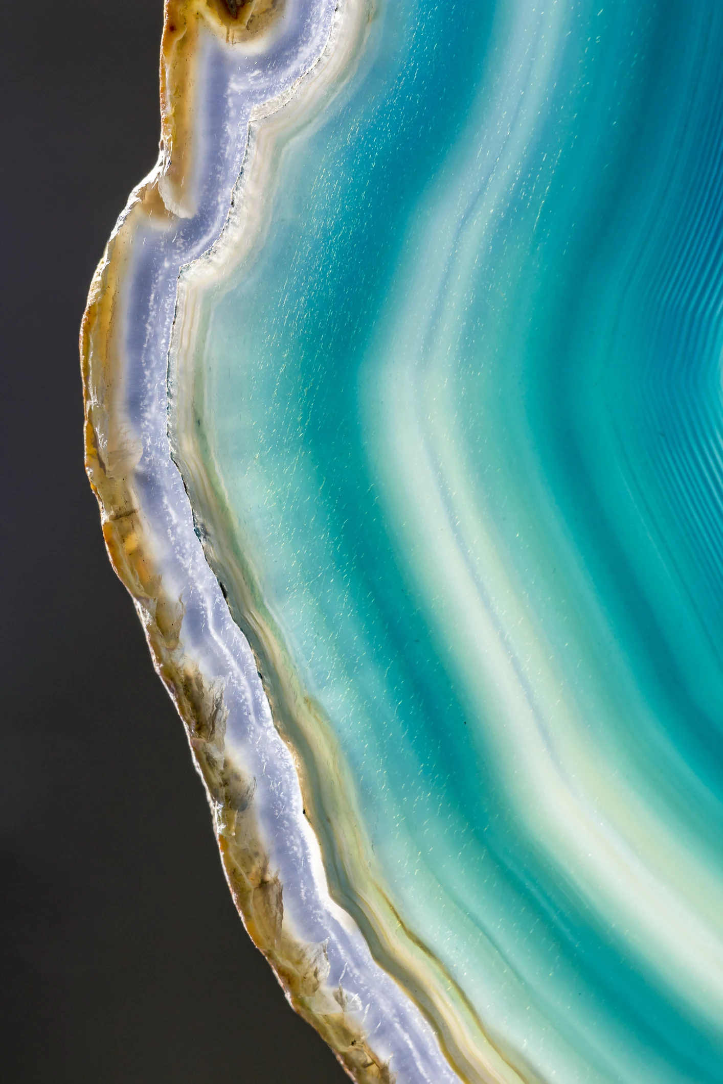 Un catálogo de todos los minerales de la Tierra para buscar vida extraterrestre