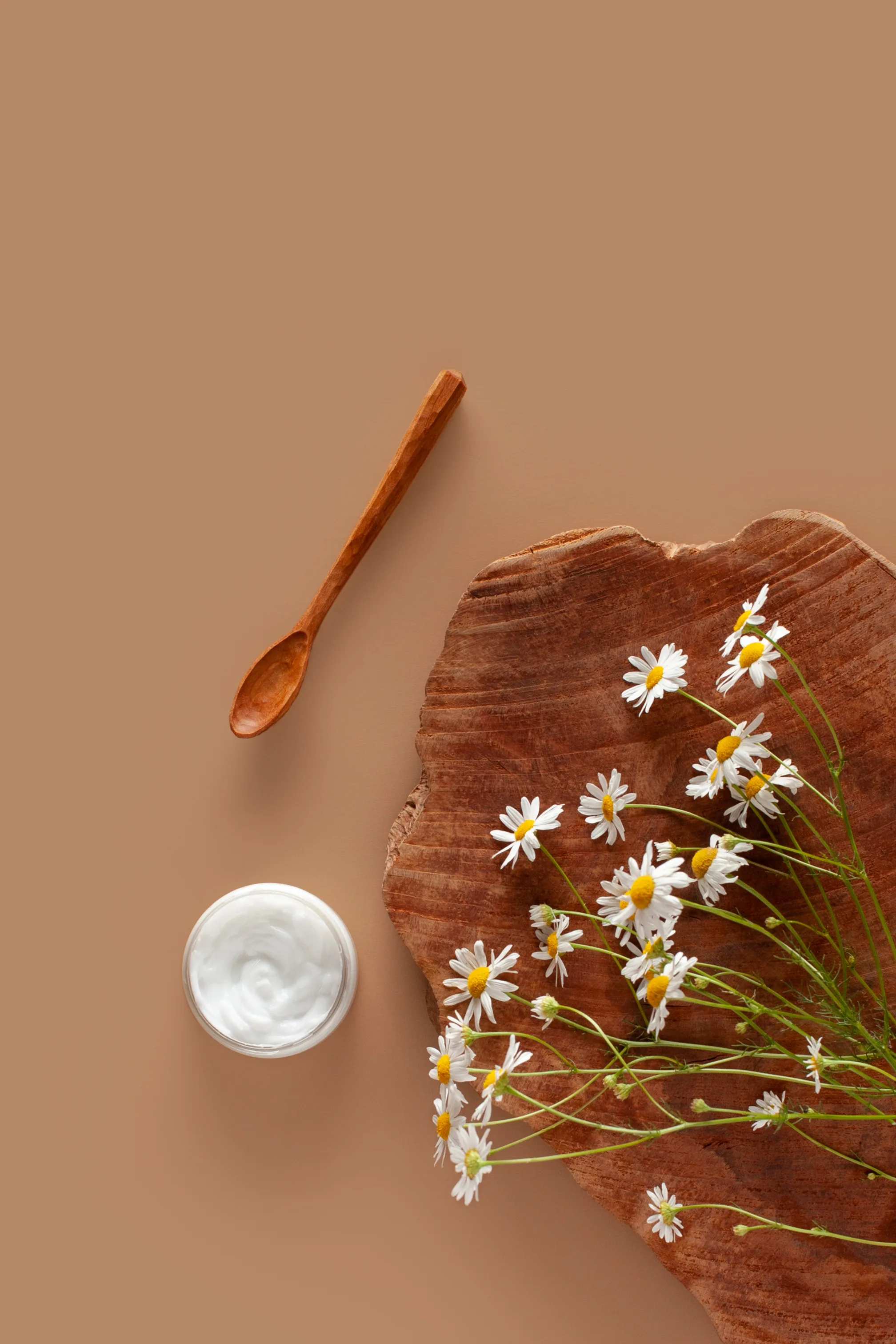 Las imperdibles propiedades de la manzanilla