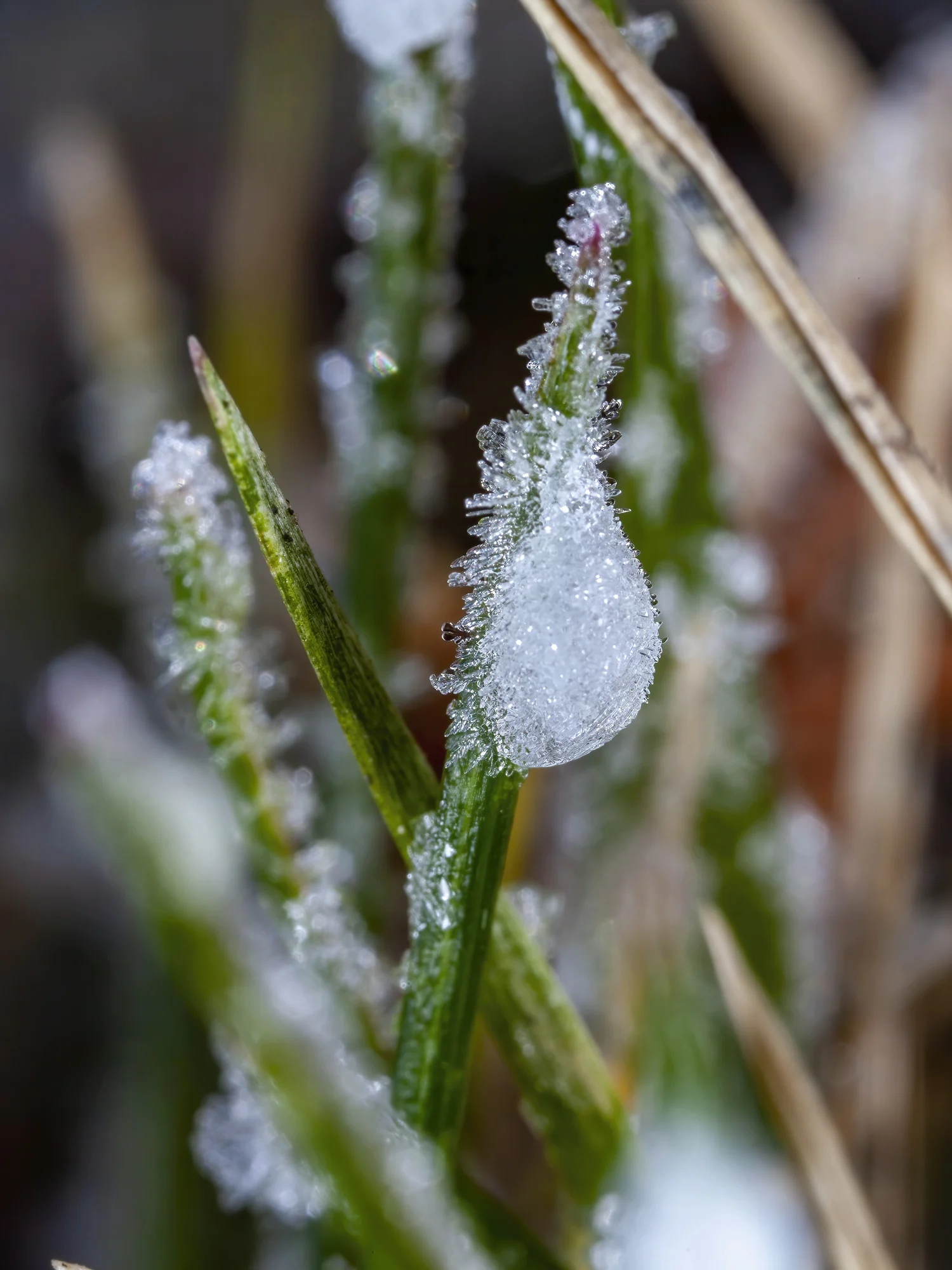 Snow Covers Cleveland as Winter Storm Hits Ohio