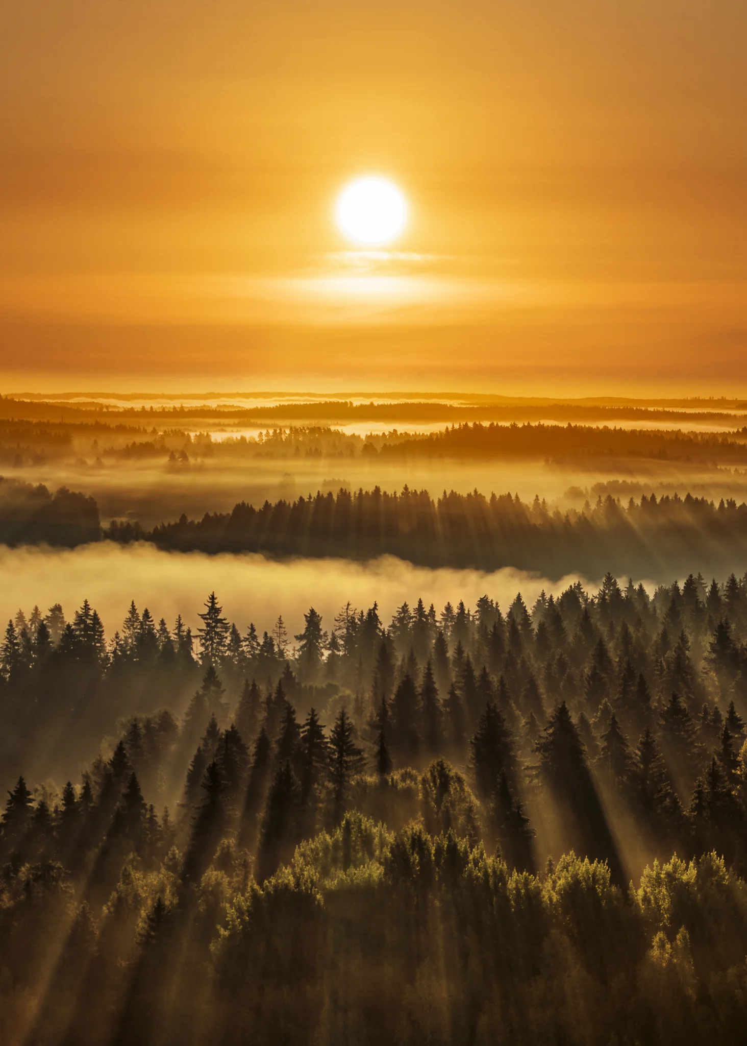 Solar Energy Boom Could Worsen Forced Labor in China, Group Says