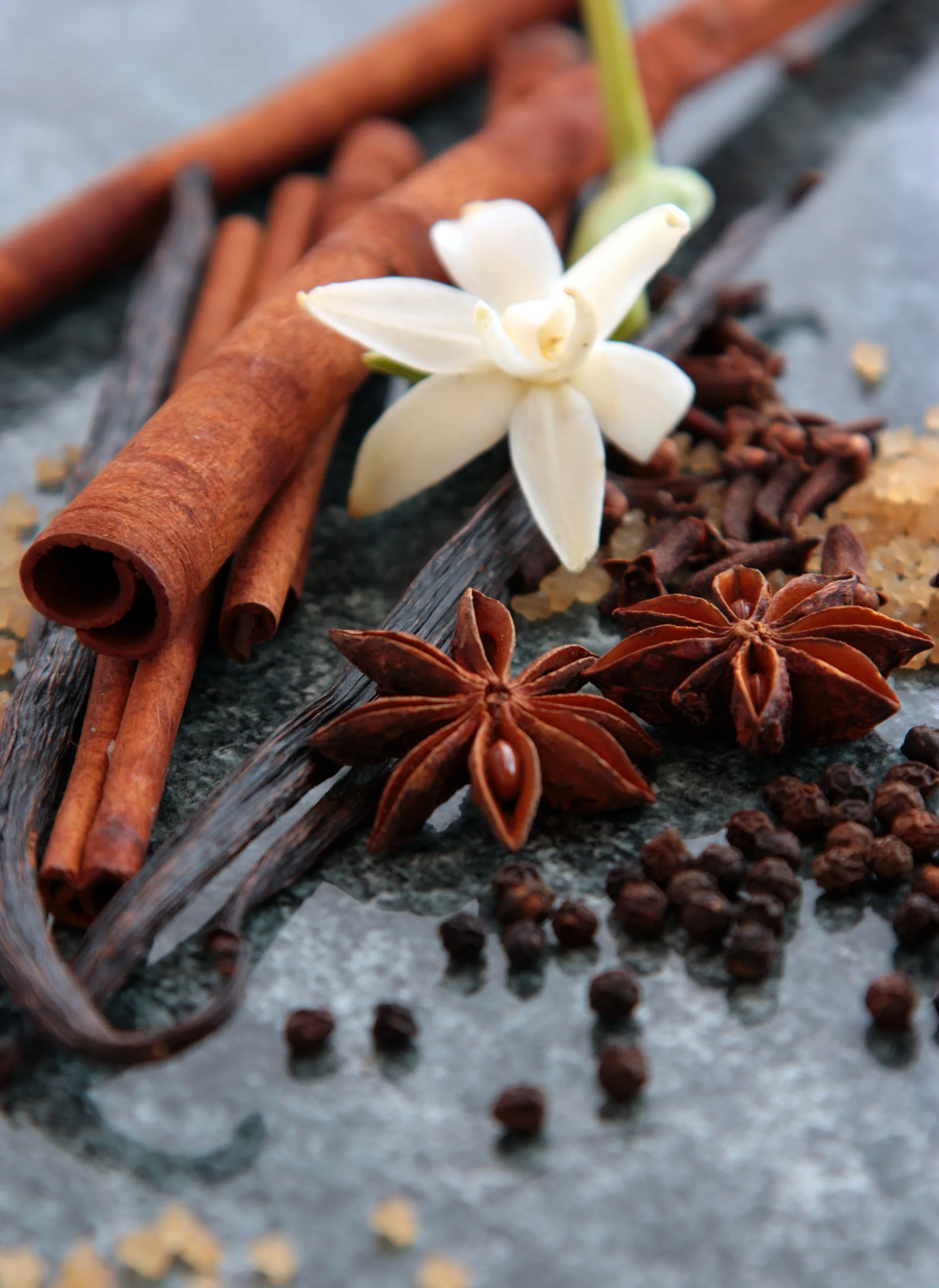 Te sorprenderá, 3 usos de la canela en el jardín que no conocías